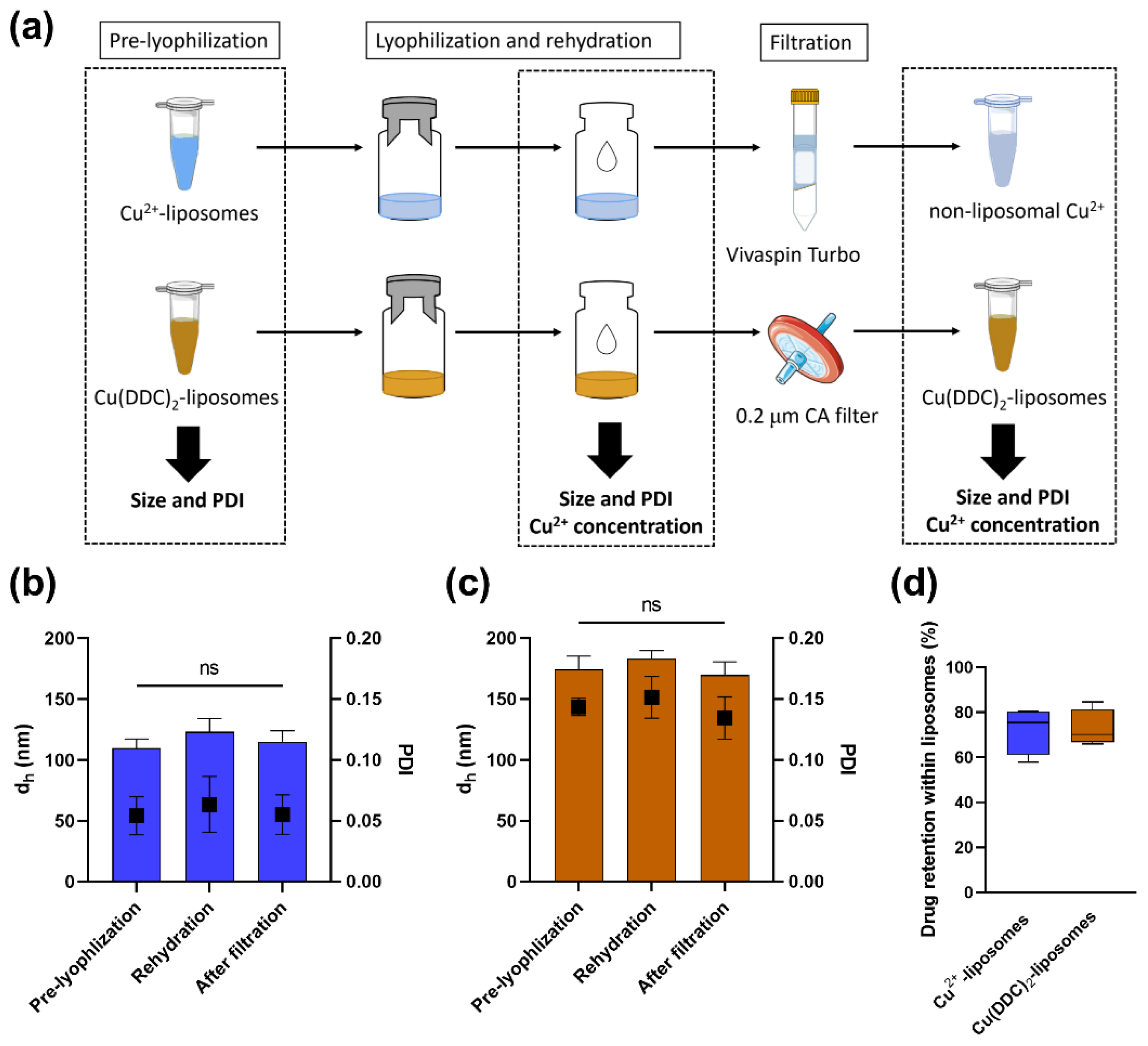 Pharmaceutics 14 02841 g001
