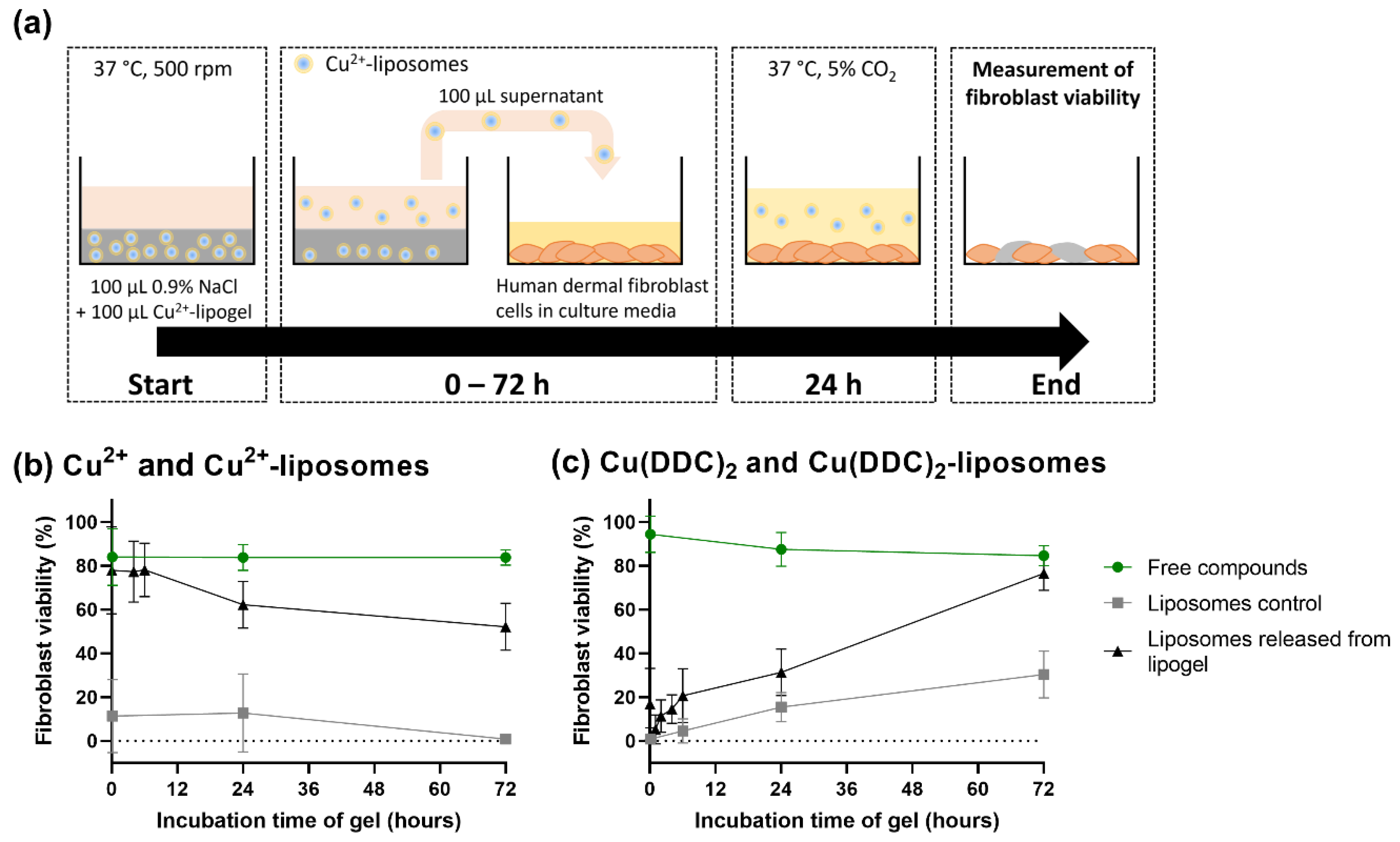 Pharmaceutics 14 02841 g007