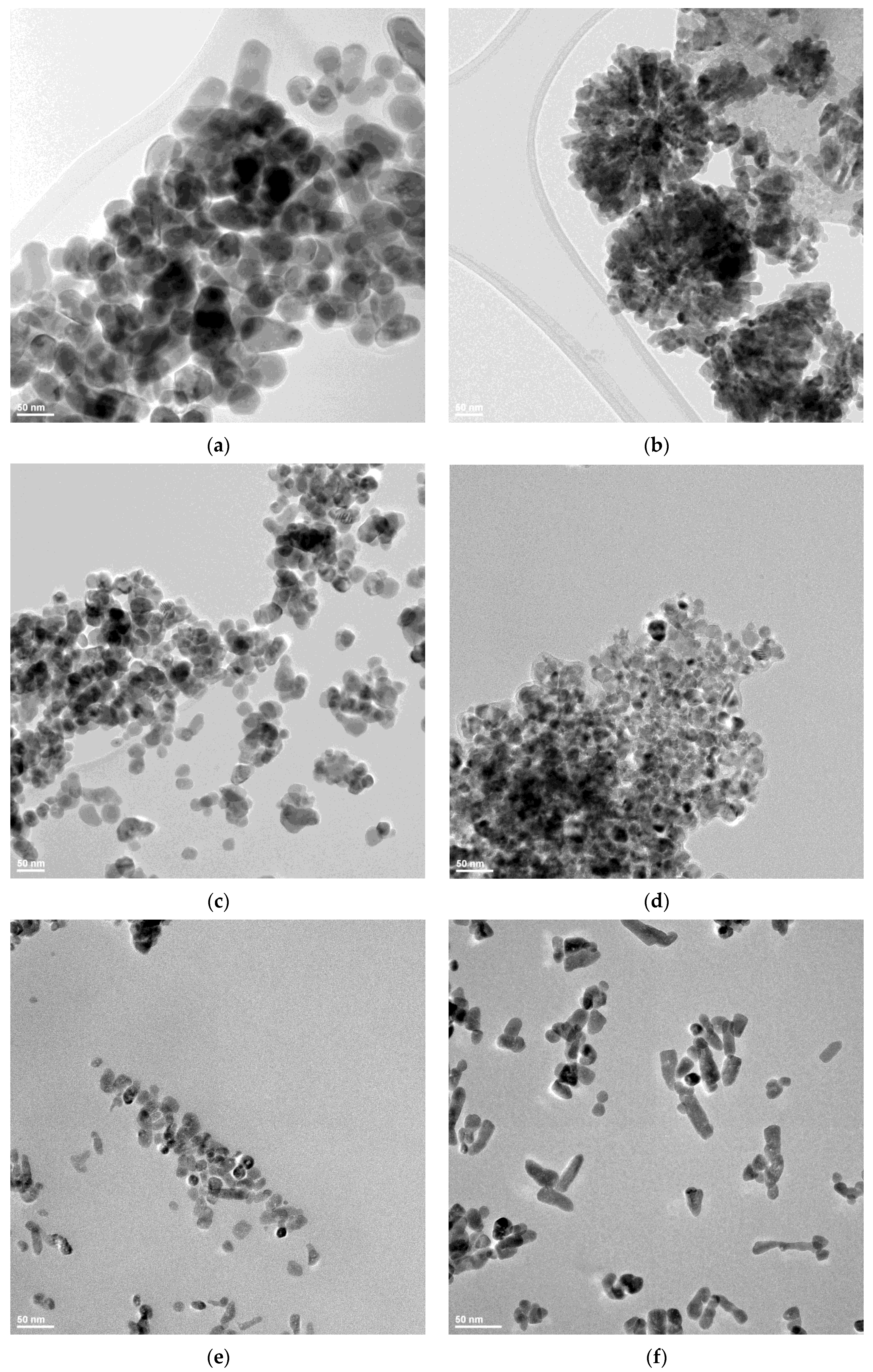 Pharmaceutics 14 02842 g005