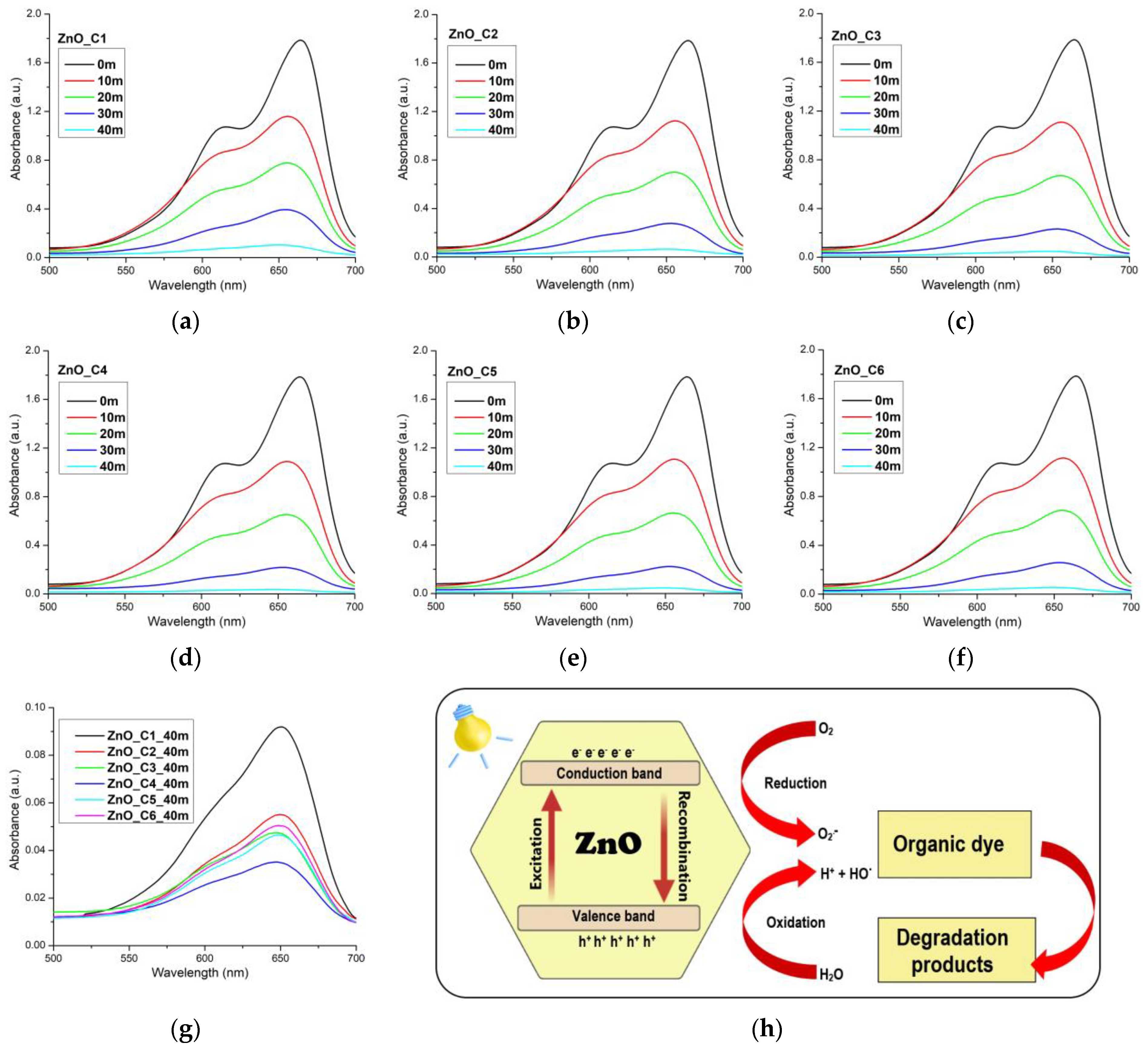 Pharmaceutics 14 02842 g009
