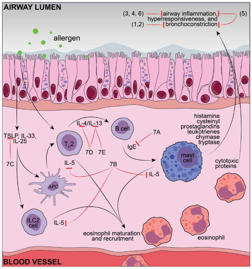 Pharmaceutics 15 00001 g002