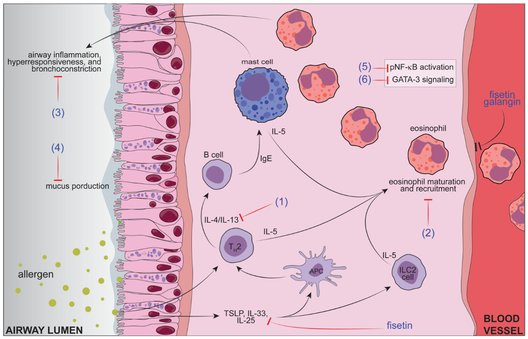 Pharmaceutics 15 00001 g004