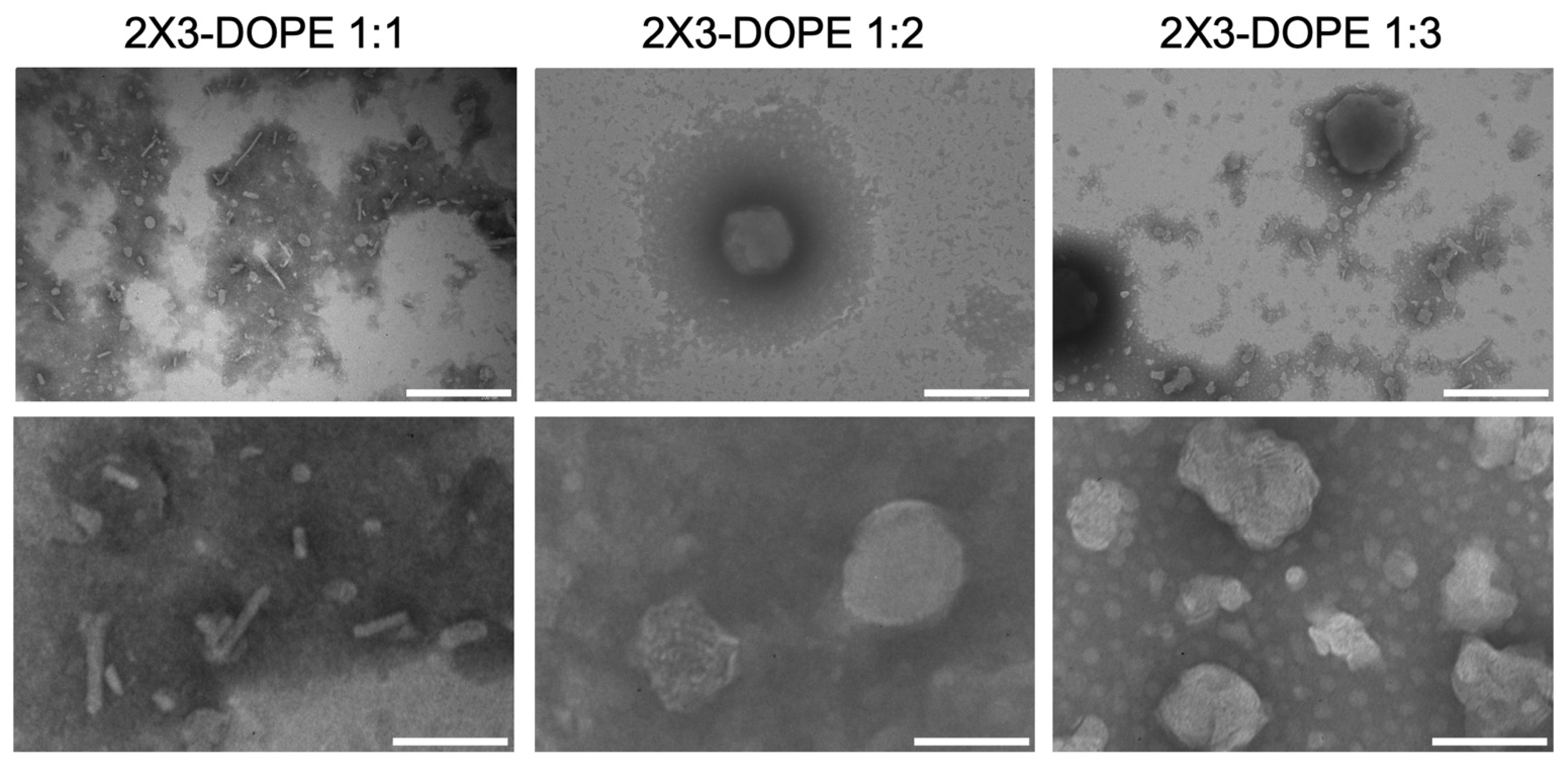 Pharmaceutics 15 00008 g002 Pharmaceutics 15 00008 g002