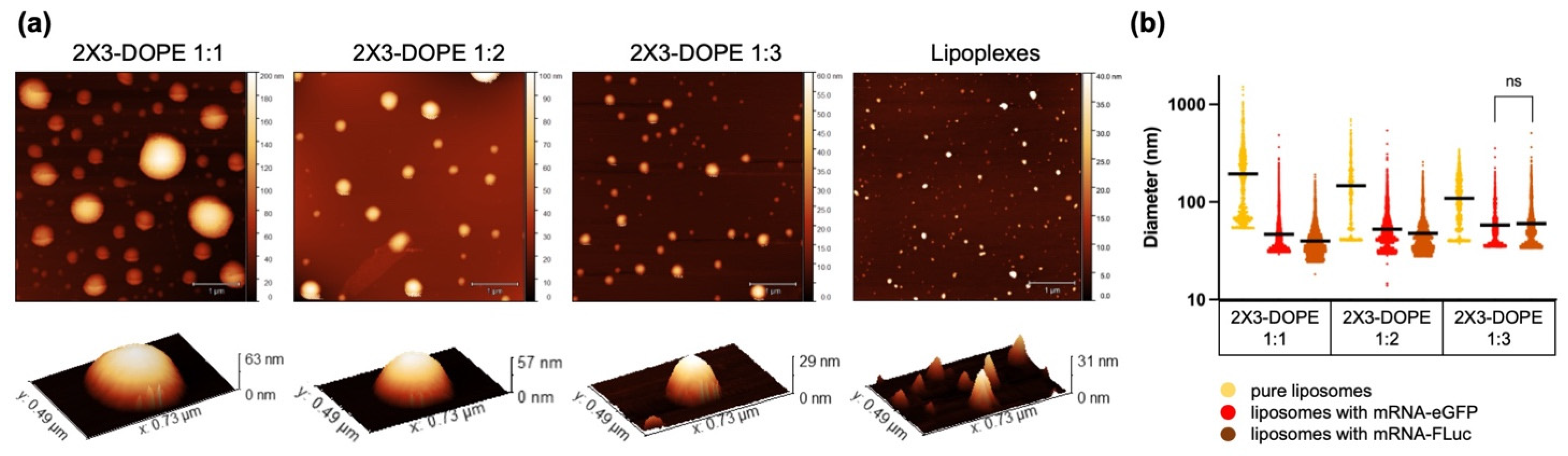 Pharmaceutics 15 00008 g005 Pharmaceutics 15 00008 g005