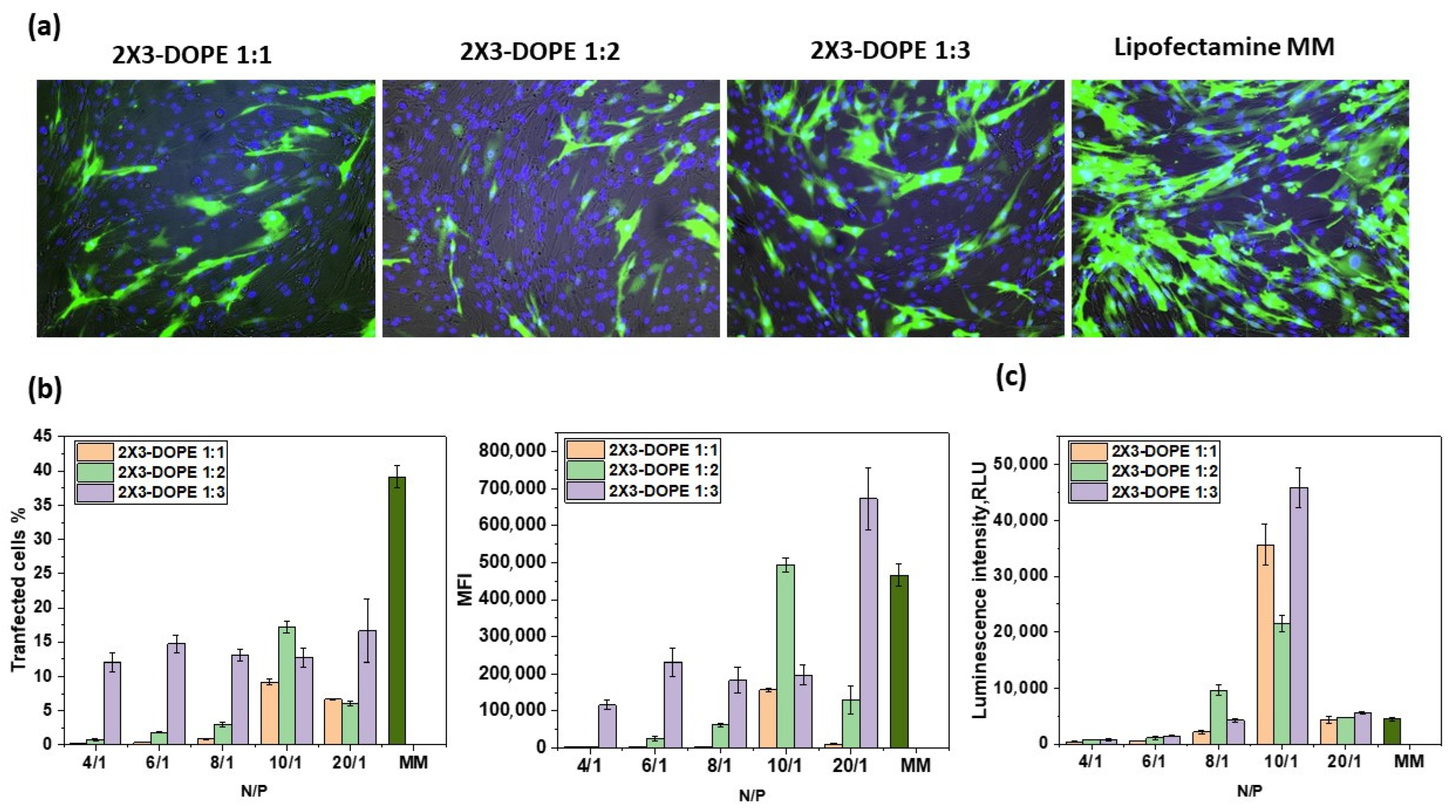 Pharmaceutics 15 00008 g006 Pharmaceutics 15 00008 g006