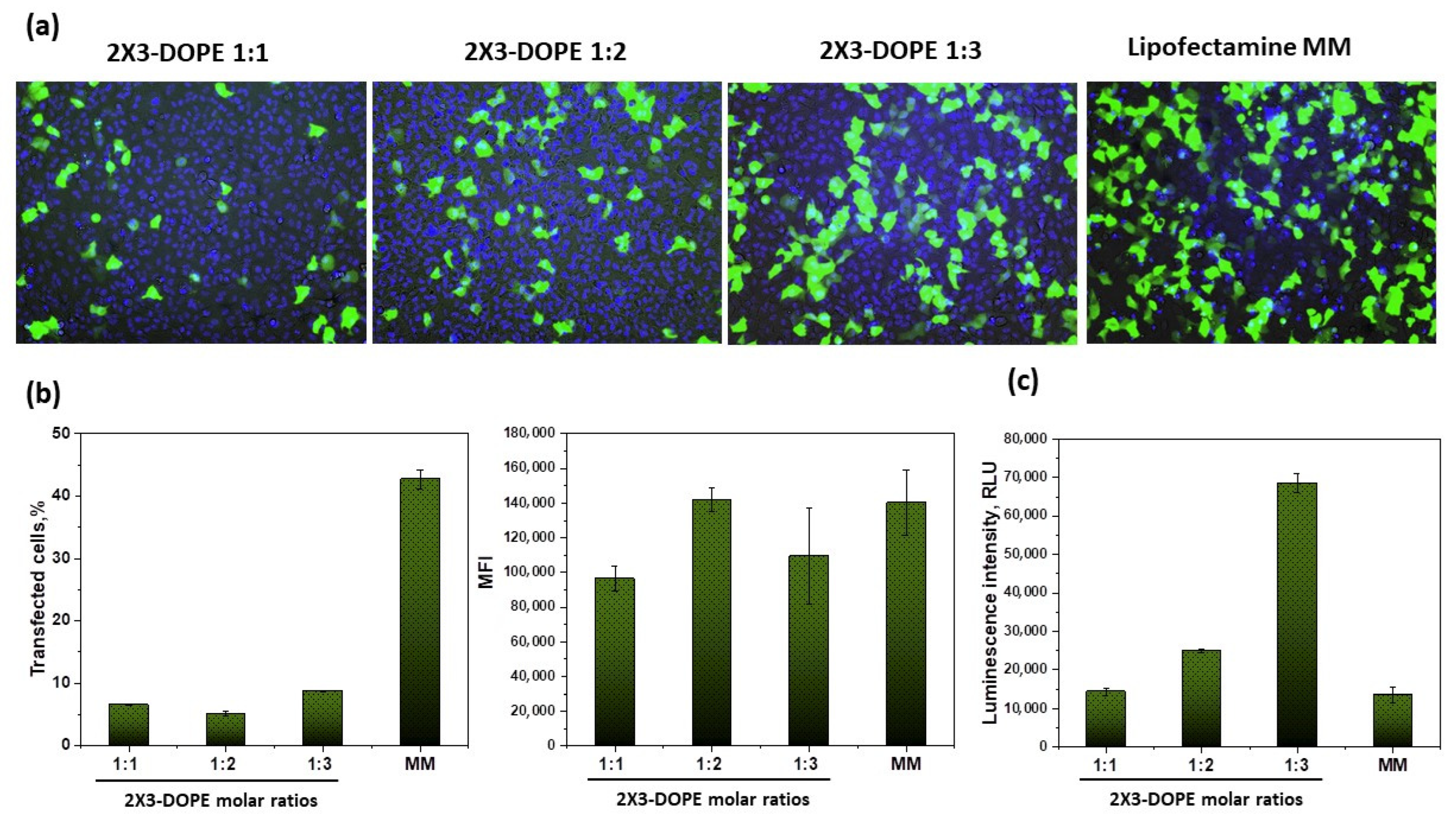 Pharmaceutics 15 00008 g007 Pharmaceutics 15 00008 g007