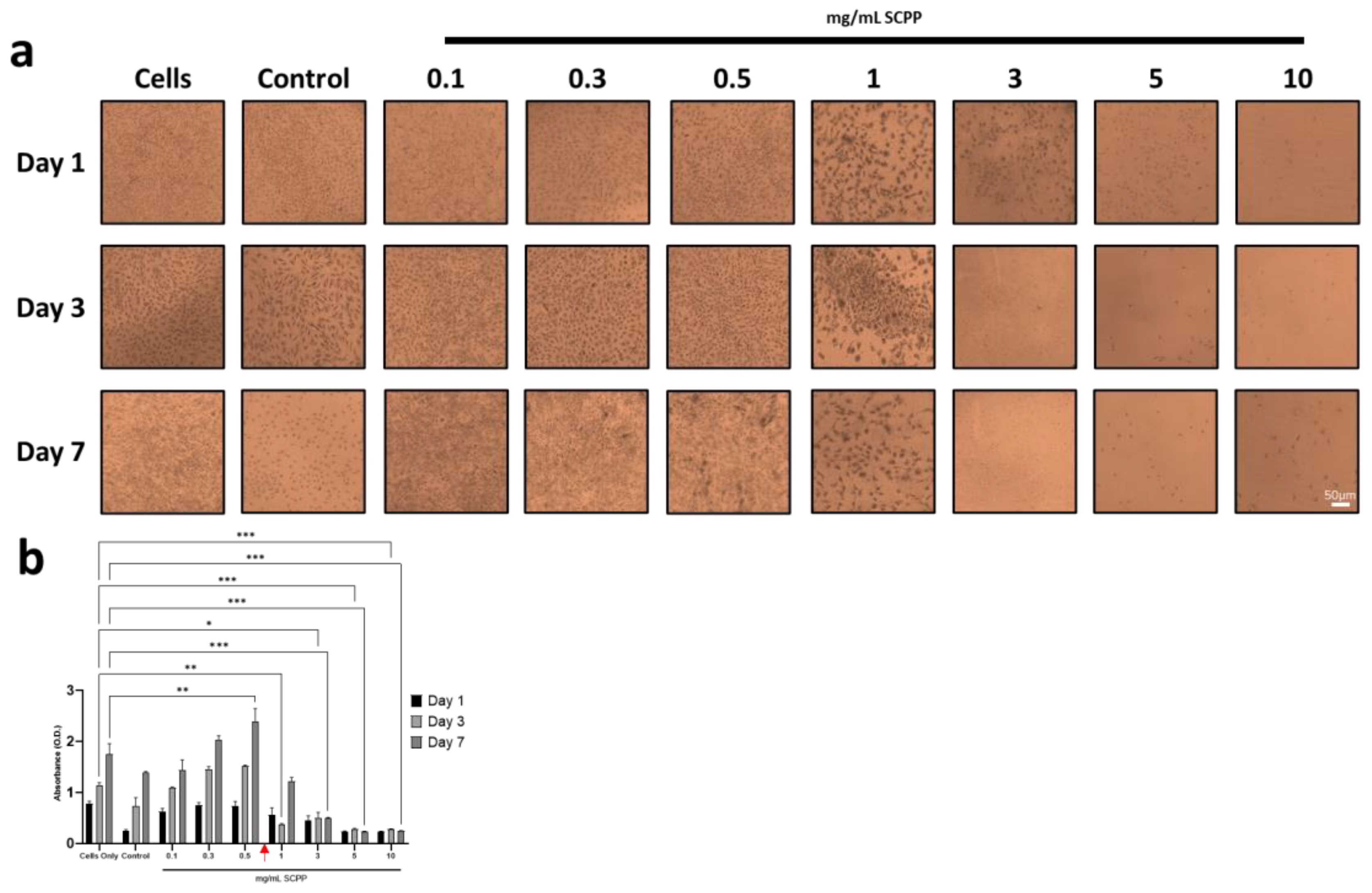 Pharmaceutics 15 00011 g006 Pharmaceutics 15 00011 g006