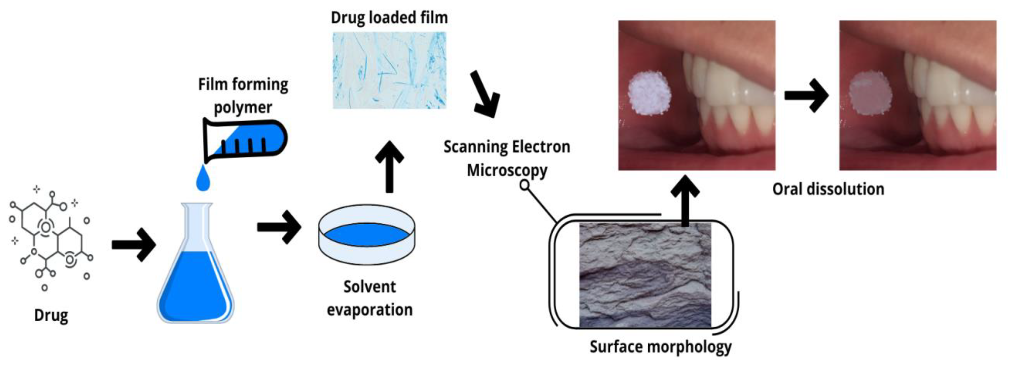 Pharmaceutics 15 00012 g002