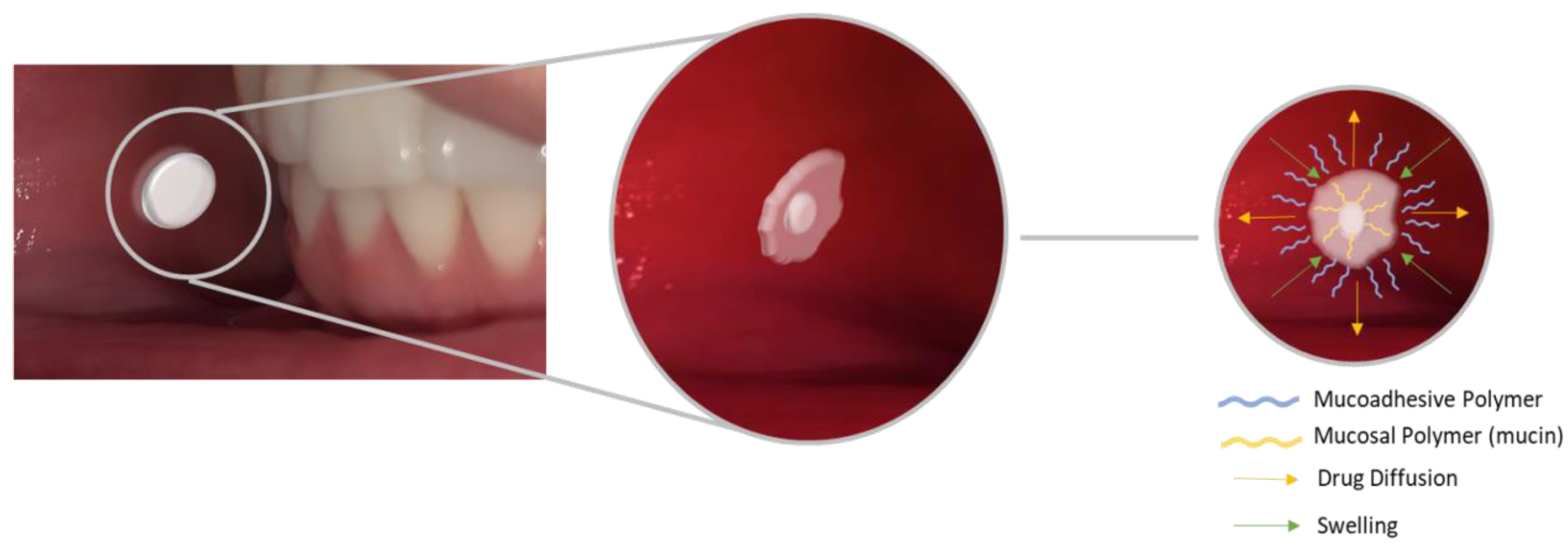 Pharmaceutics 15 00012 g003