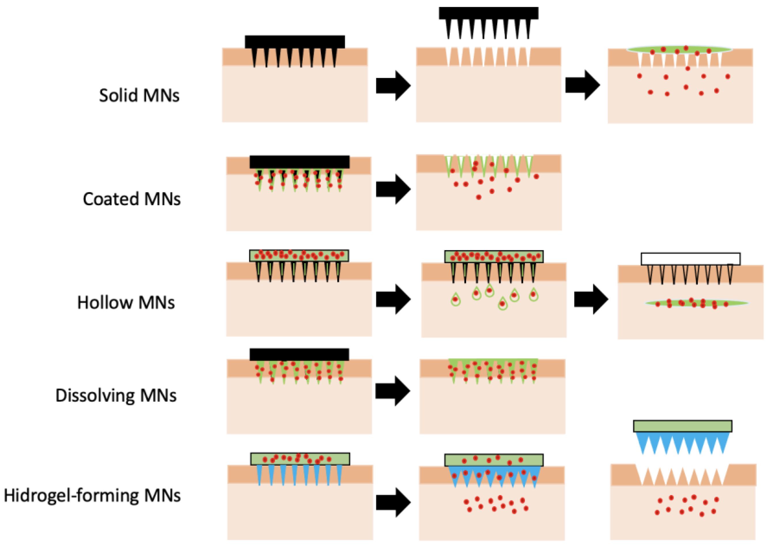 Pharmaceutics 15 00012 g005