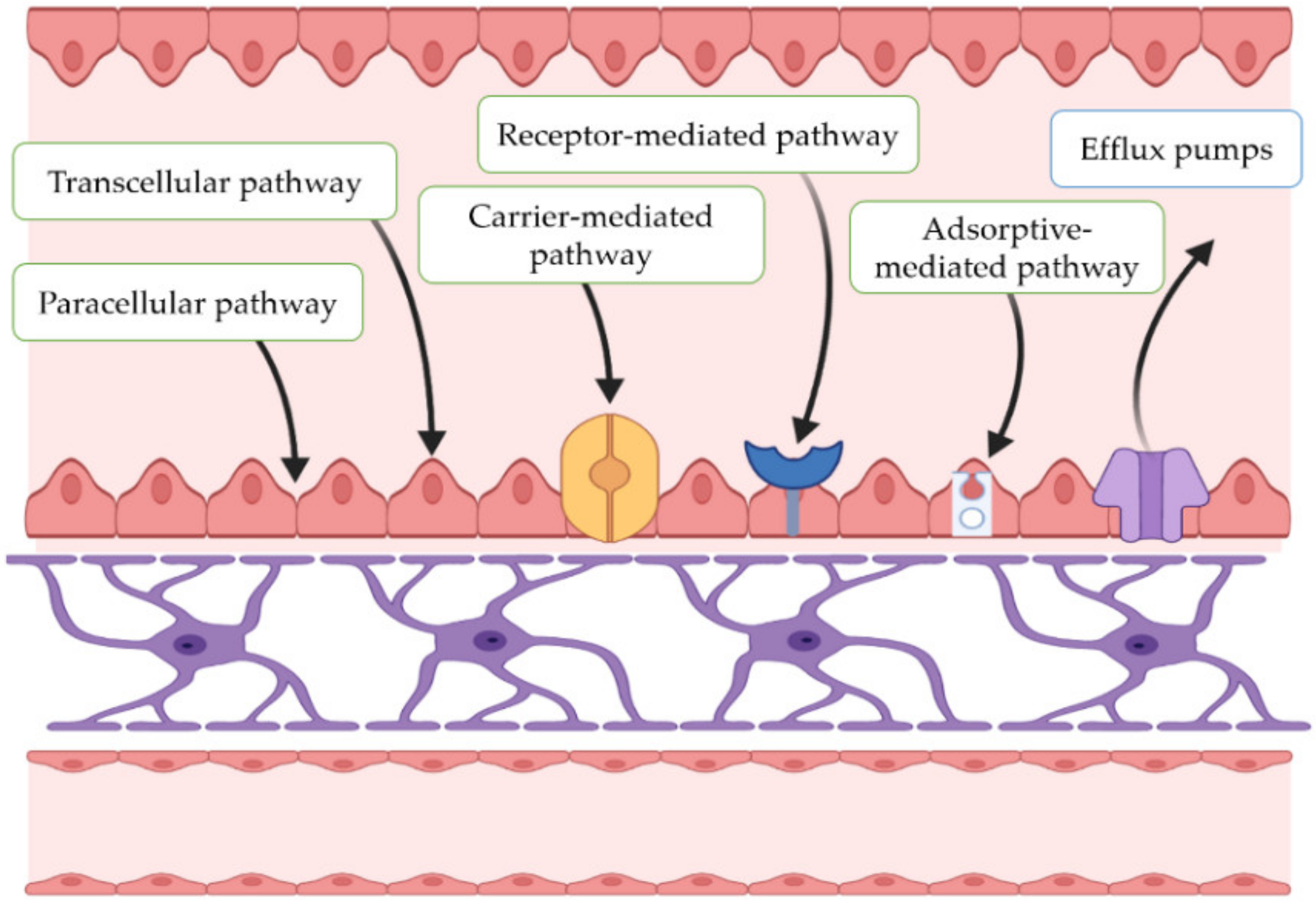 Pharmaceutics 15 00013 g002