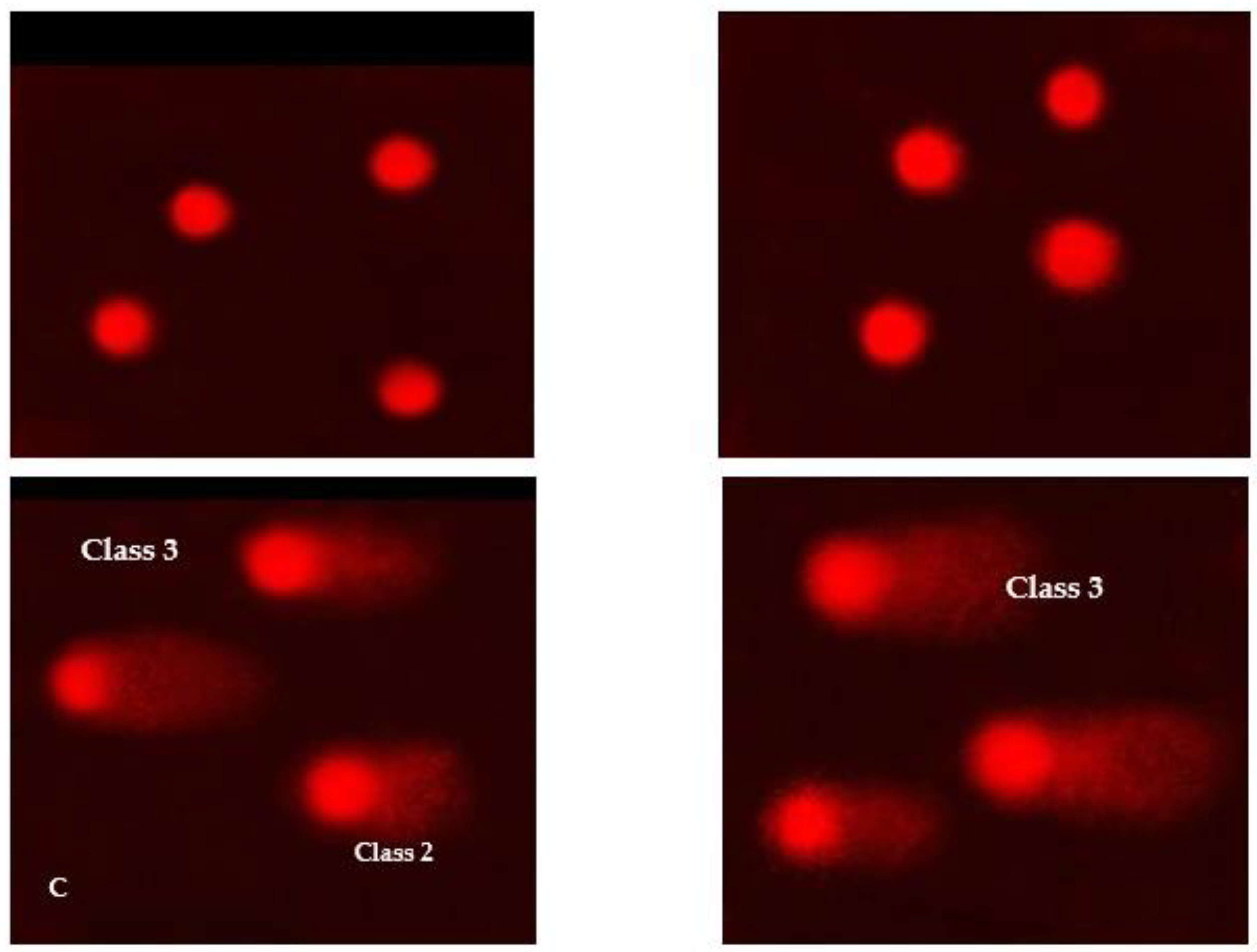 Pharmaceutics 15 00022 g007 Pharmaceutics 15 00022 g007