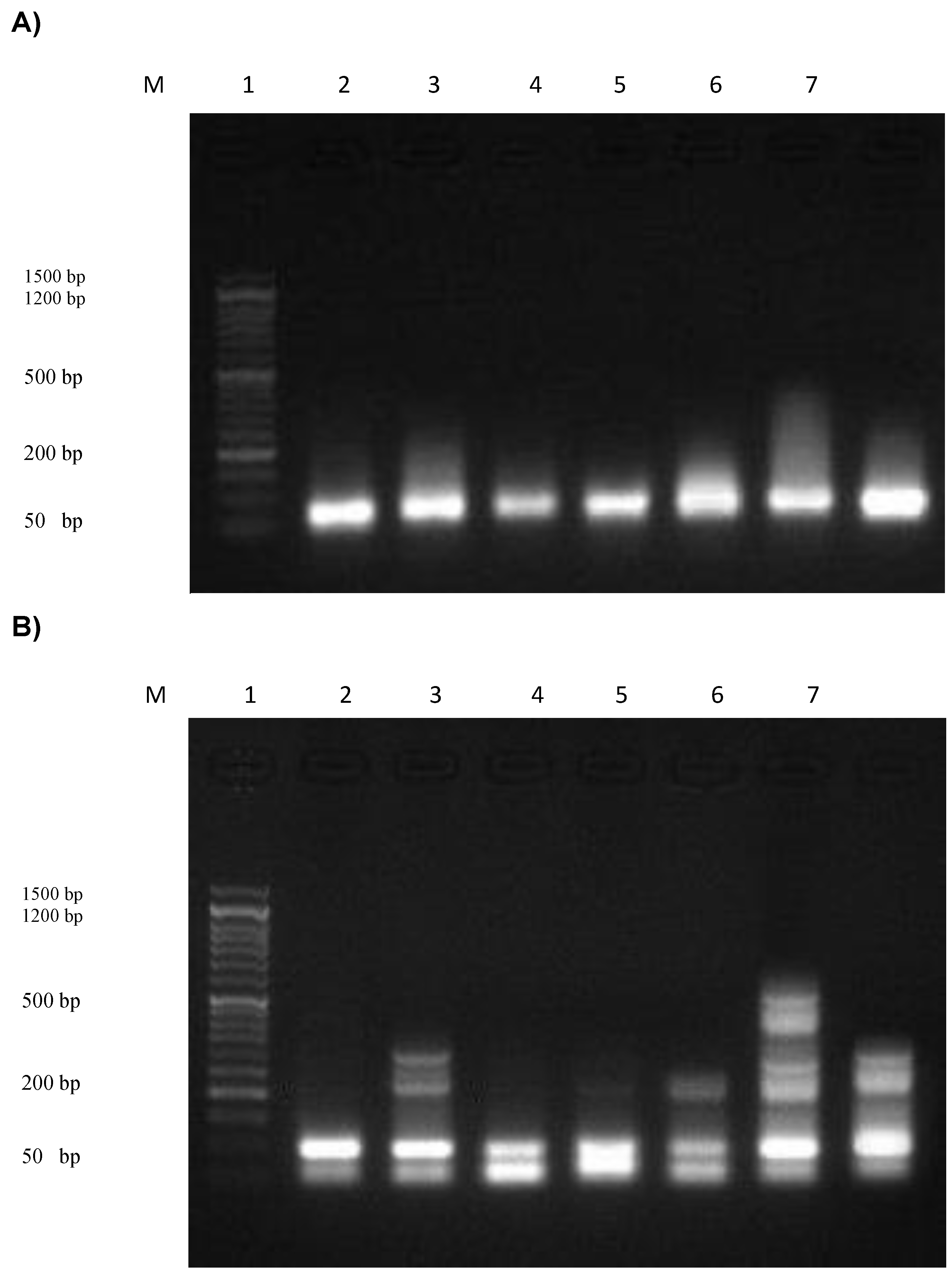 Pharmaceutics 15 00022 g008 Pharmaceutics 15 00022 g008
