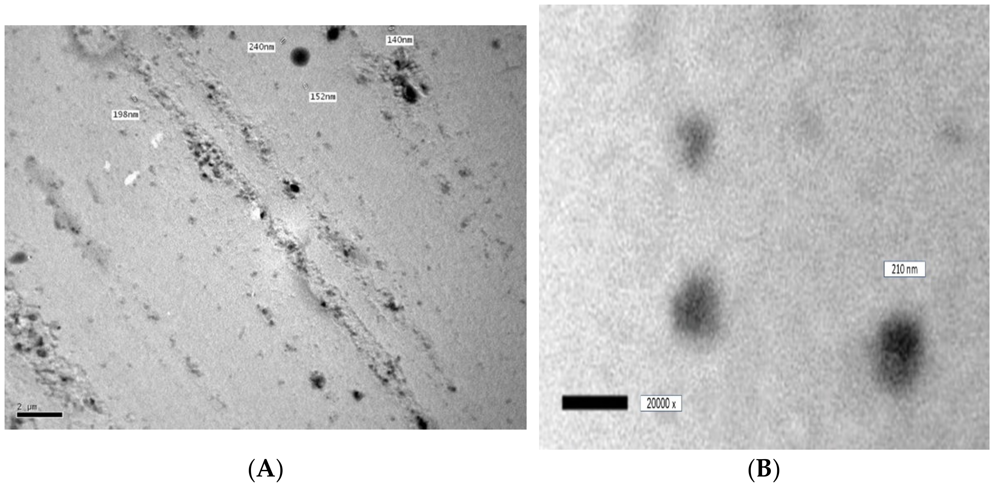 Pharmaceutics 15 00026 g002 Pharmaceutics 15 00026 g002
