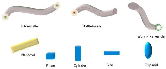 Non-spherical Polymeric Nanocarriers for Therapeutics: The