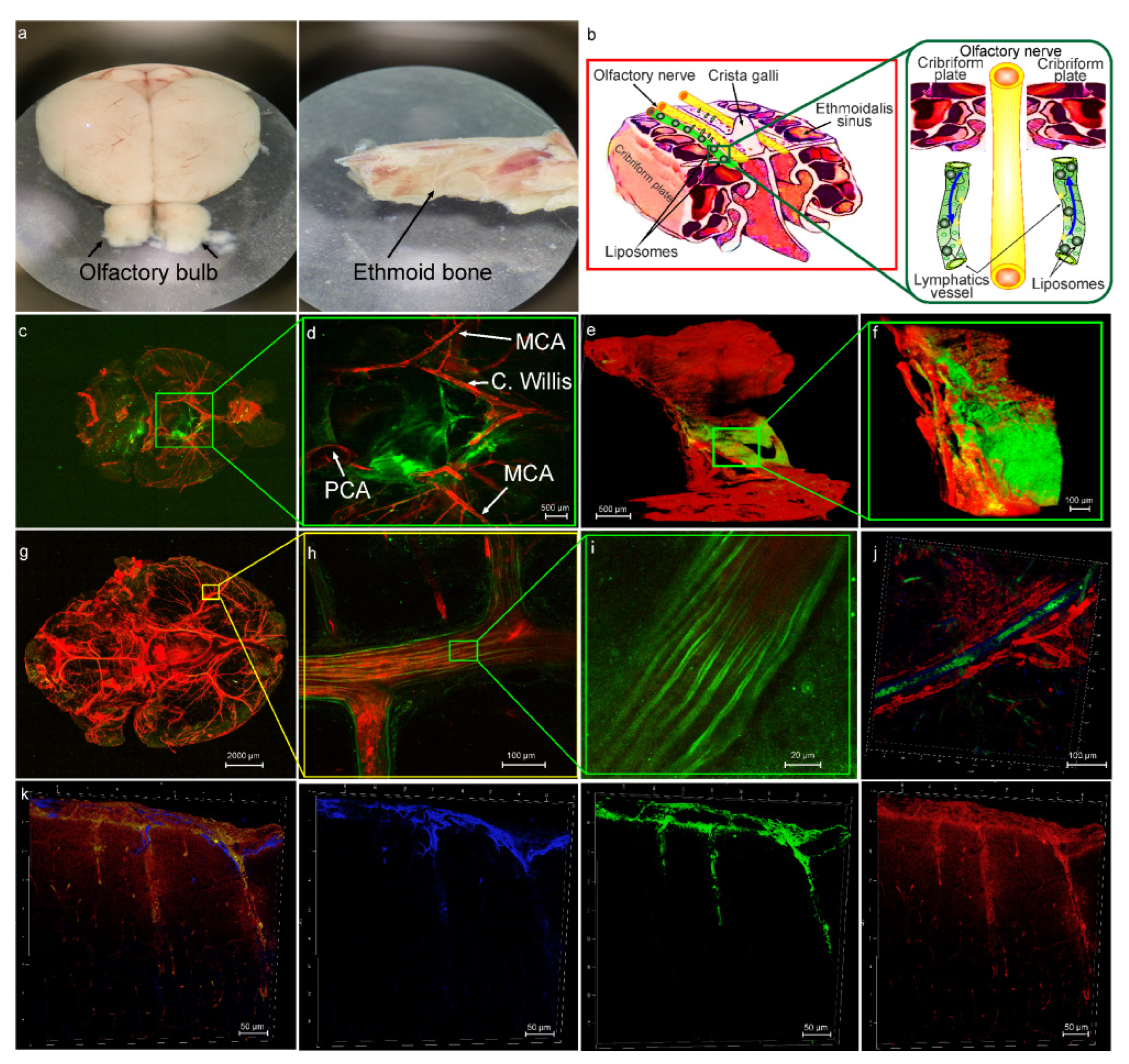 Pharmaceutics 15 00036 g001 Pharmaceutics 15 00036 g001