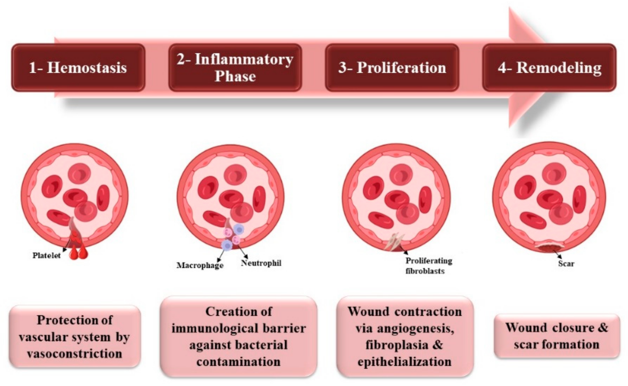 Pharmaceutics 15 00038 g002 Pharmaceutics 15 00038 g002