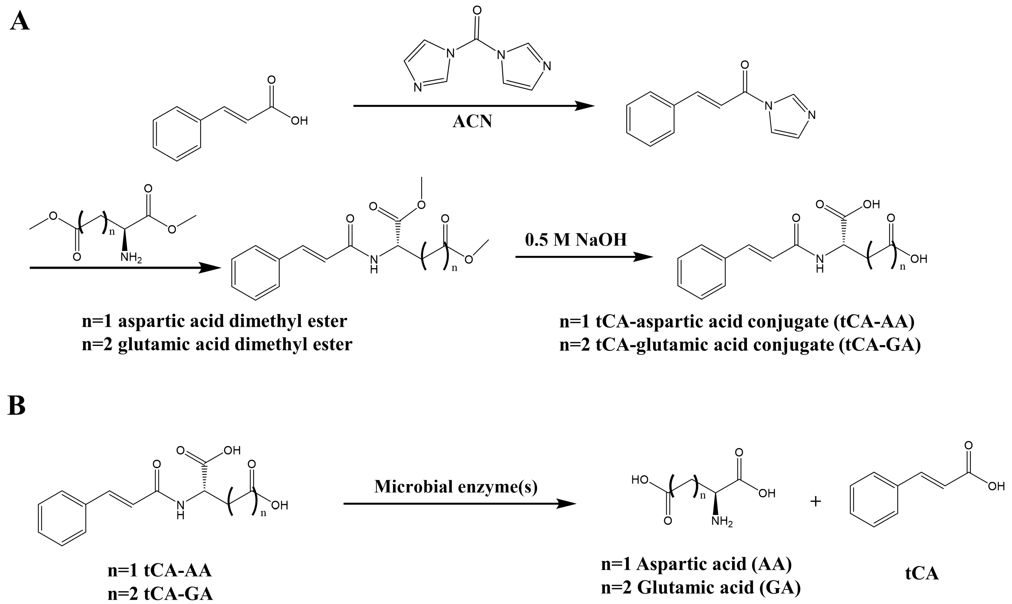 Pharmaceutics 15 00041 g001
