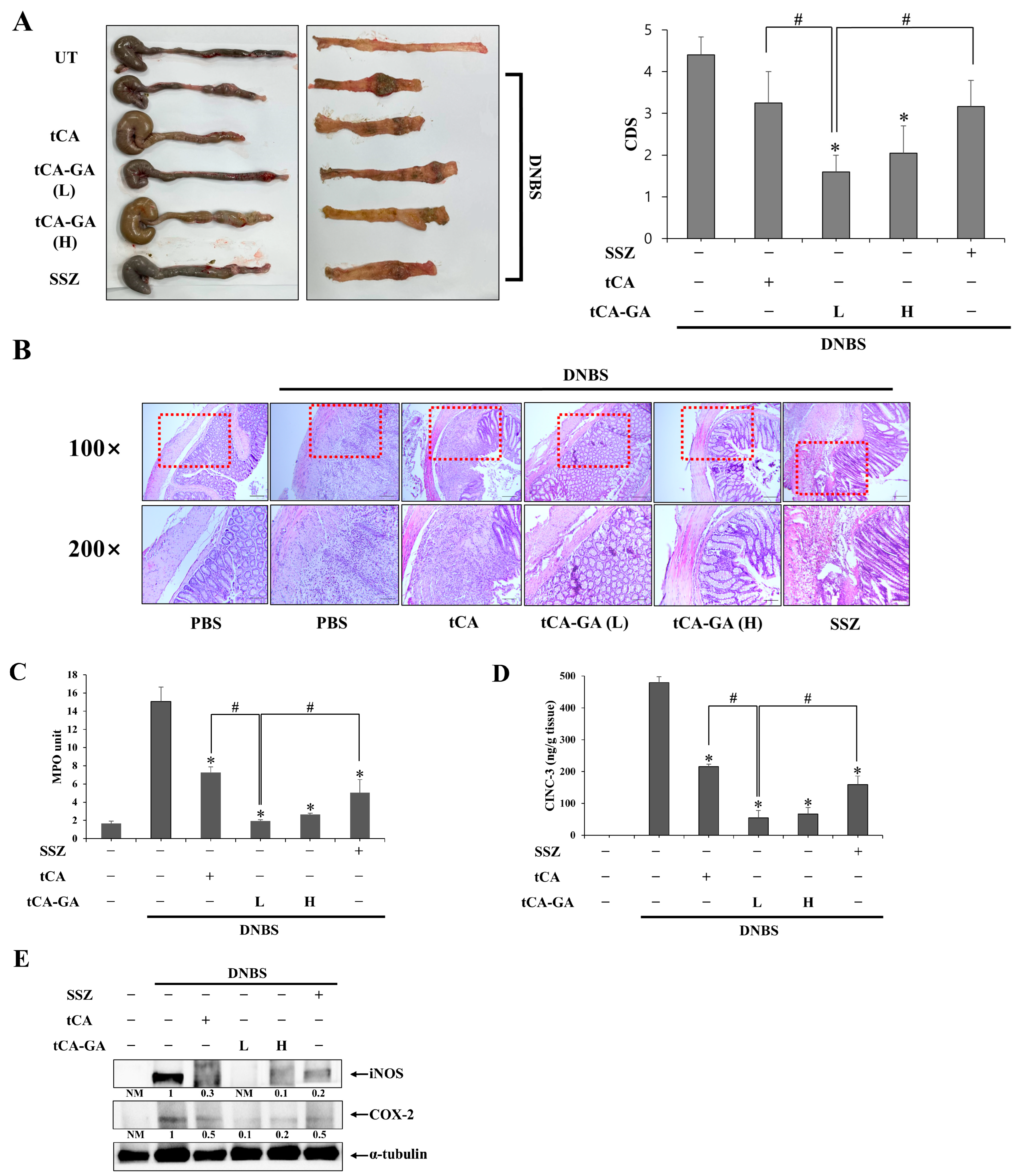 Pharmaceutics 15 00041 g003