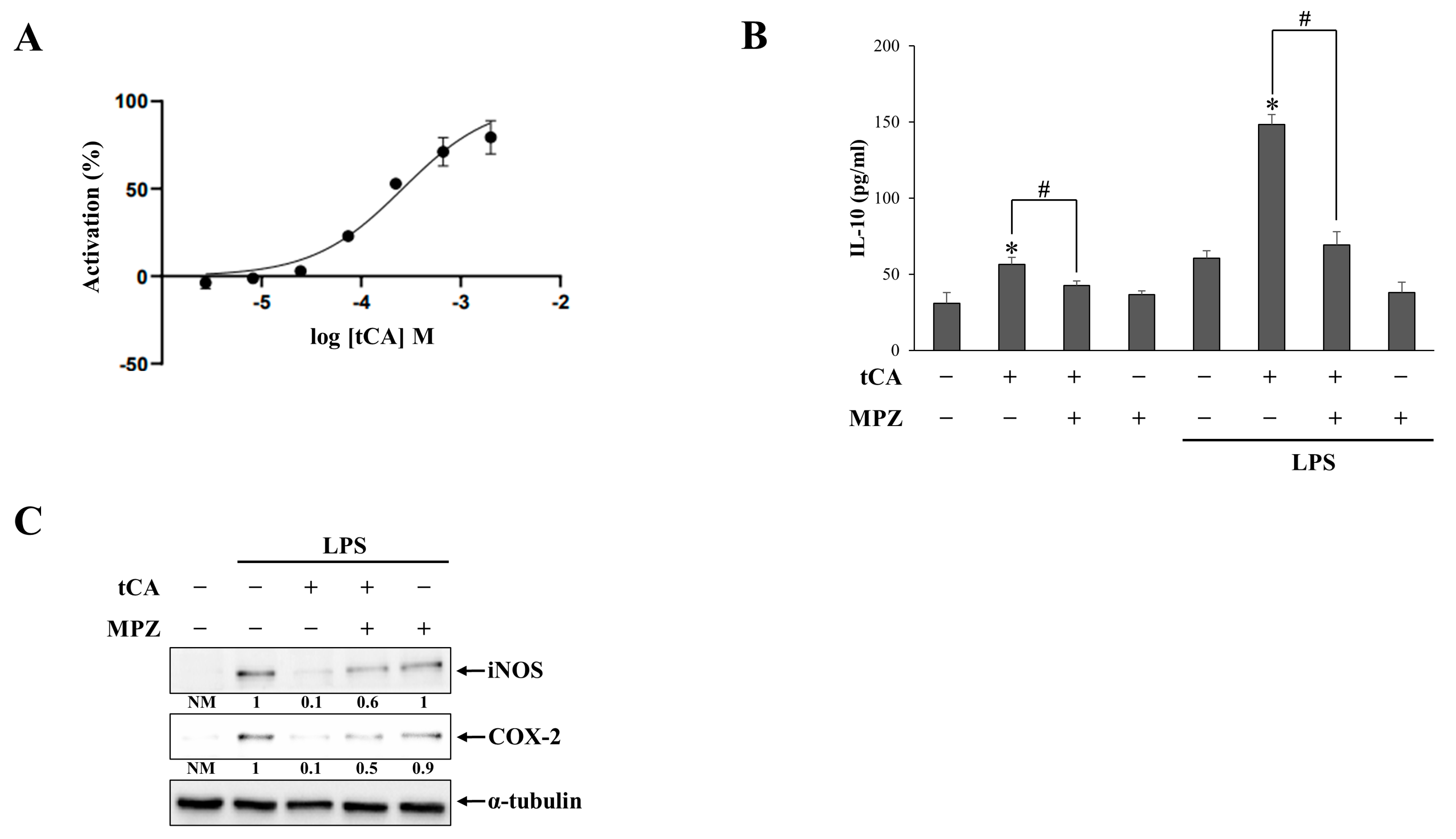 Pharmaceutics 15 00041 g004