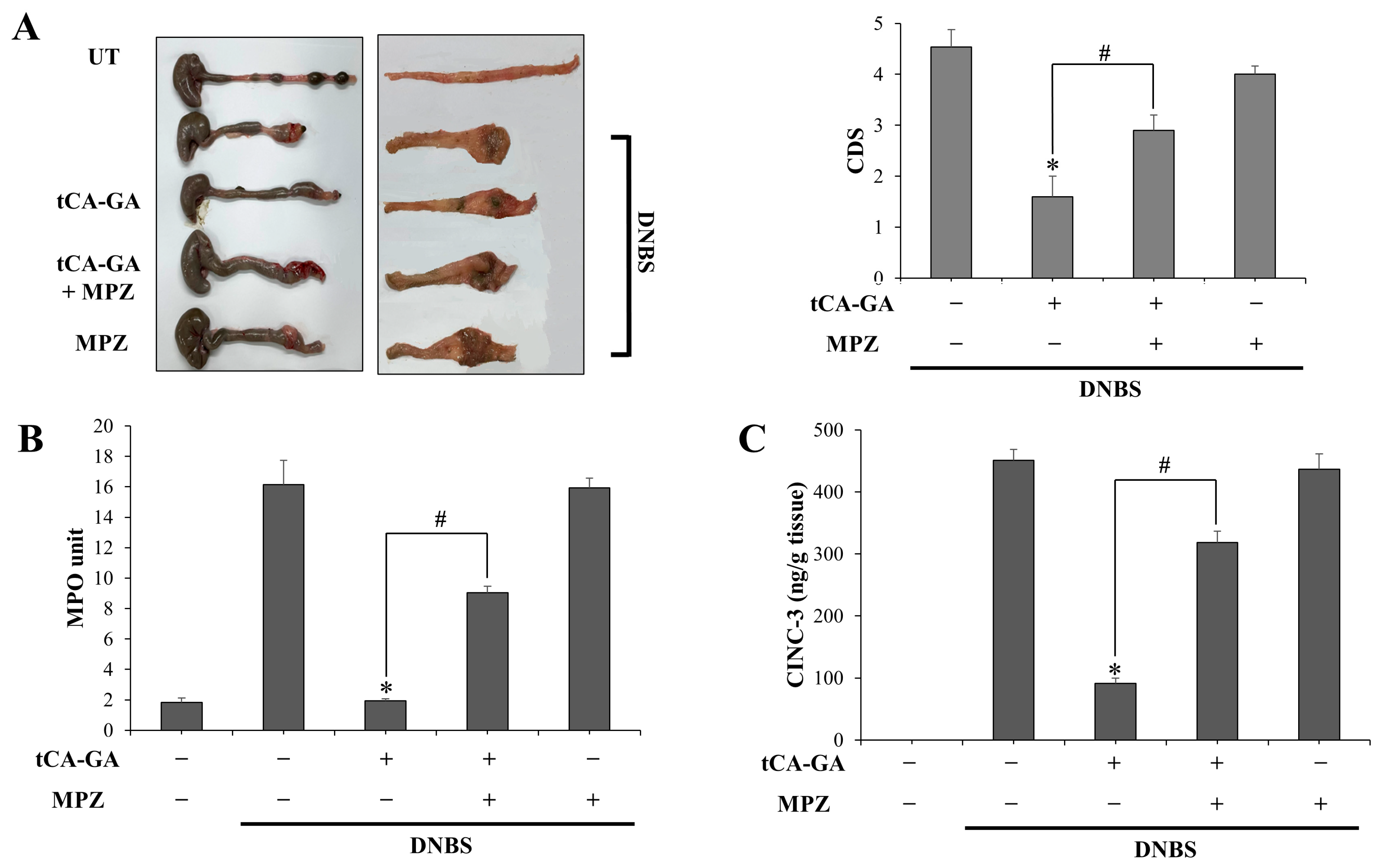 Pharmaceutics 15 00041 g005a