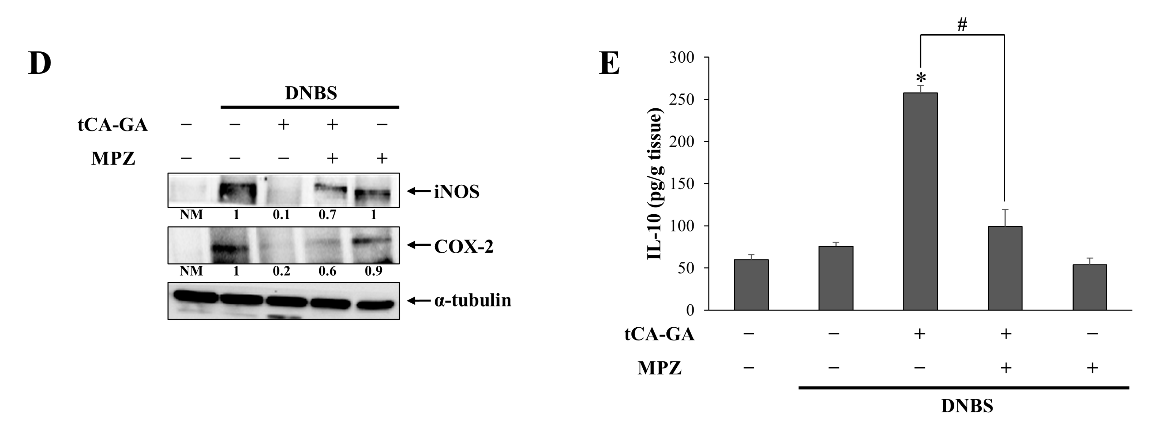 Pharmaceutics 15 00041 g005b