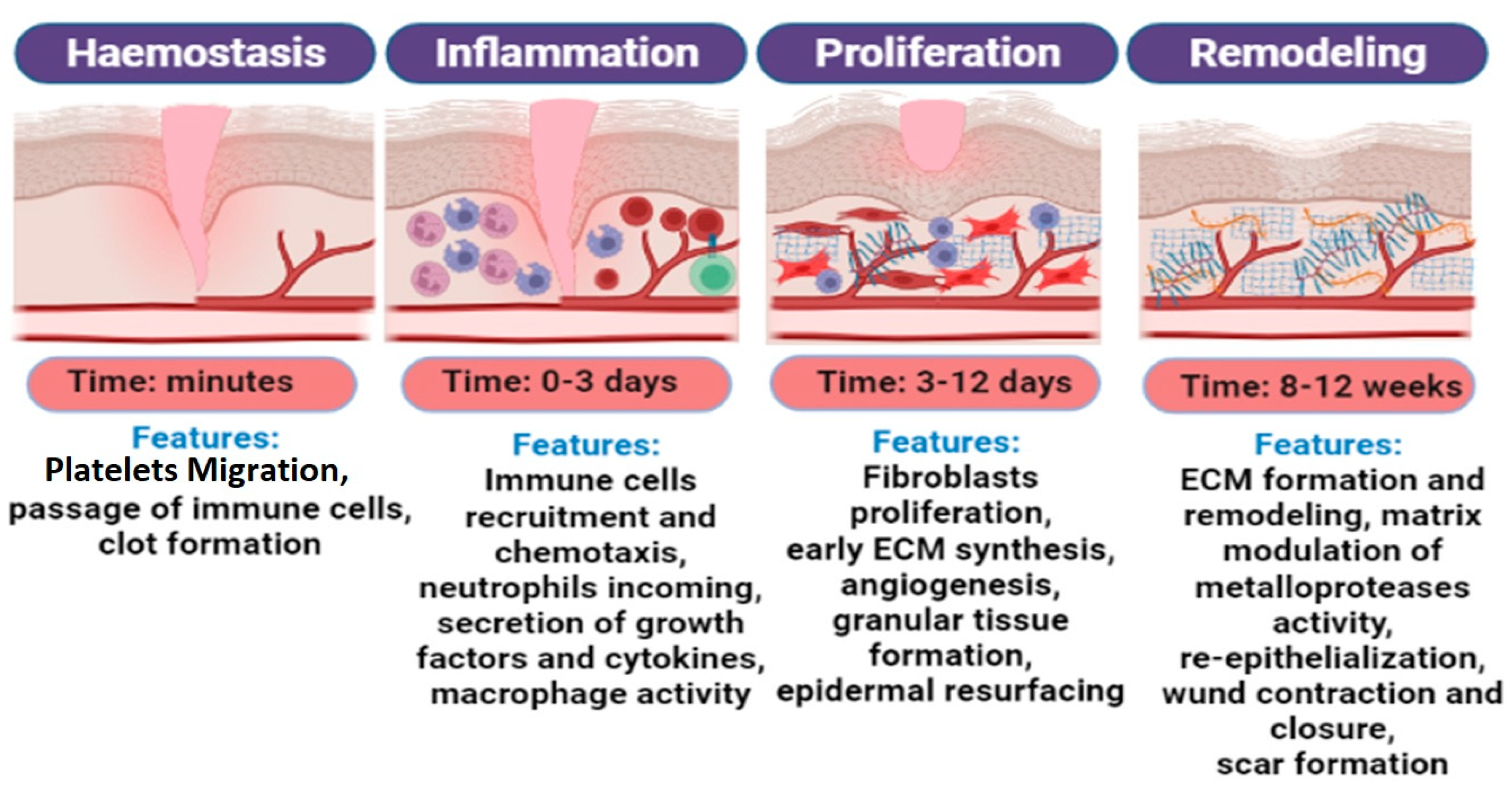 Pharmaceutics 15 00042 g002 Pharmaceutics 15 00042 g002