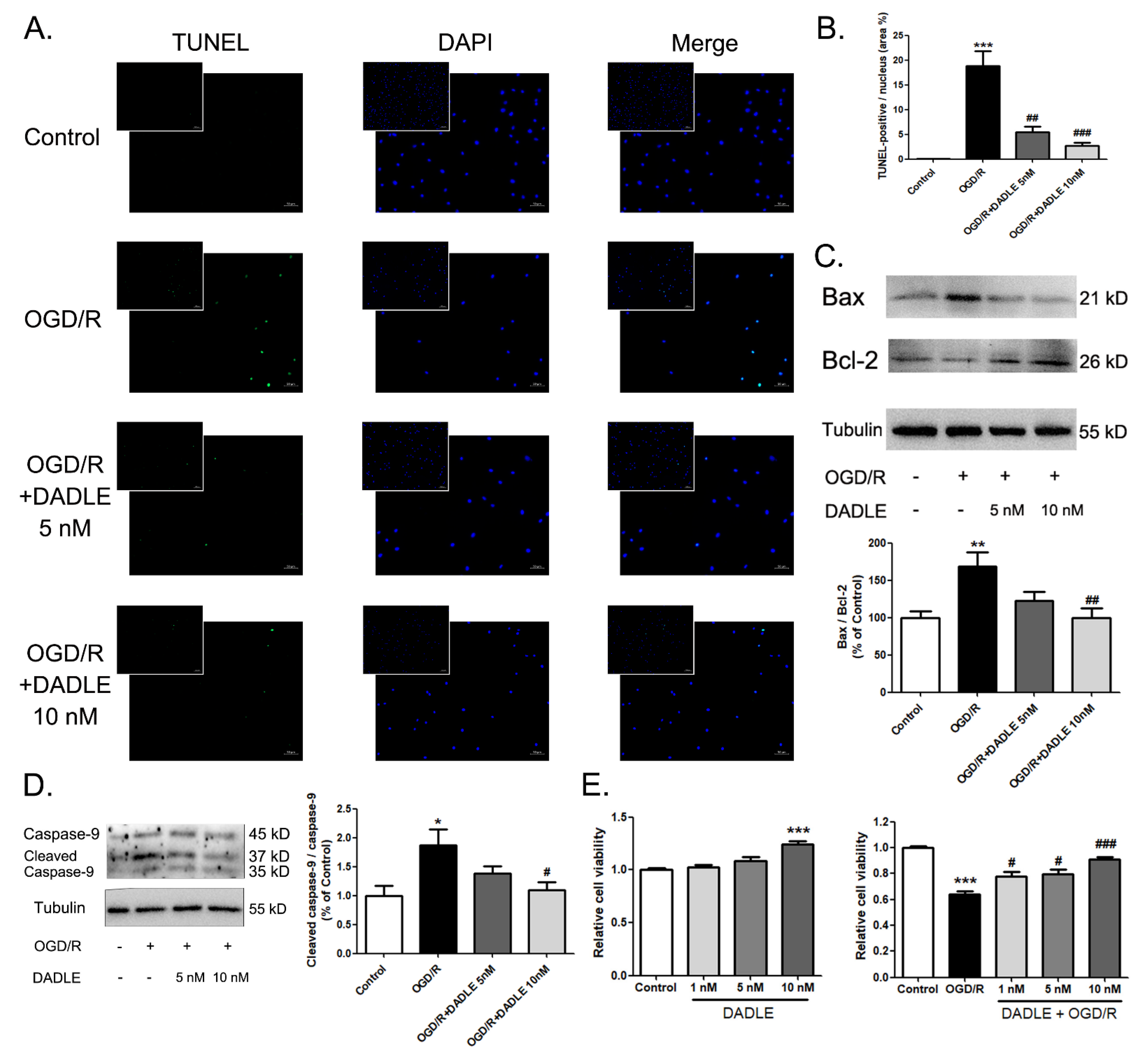 Pharmaceutics 15 00046 g004