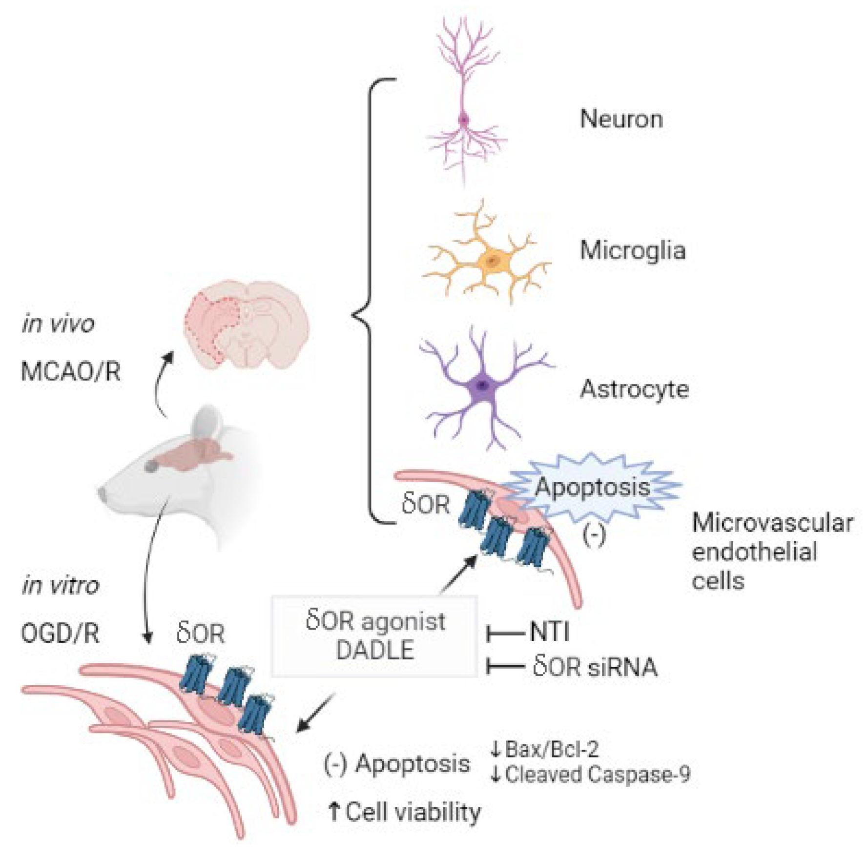 Pharmaceutics 15 00046 g006