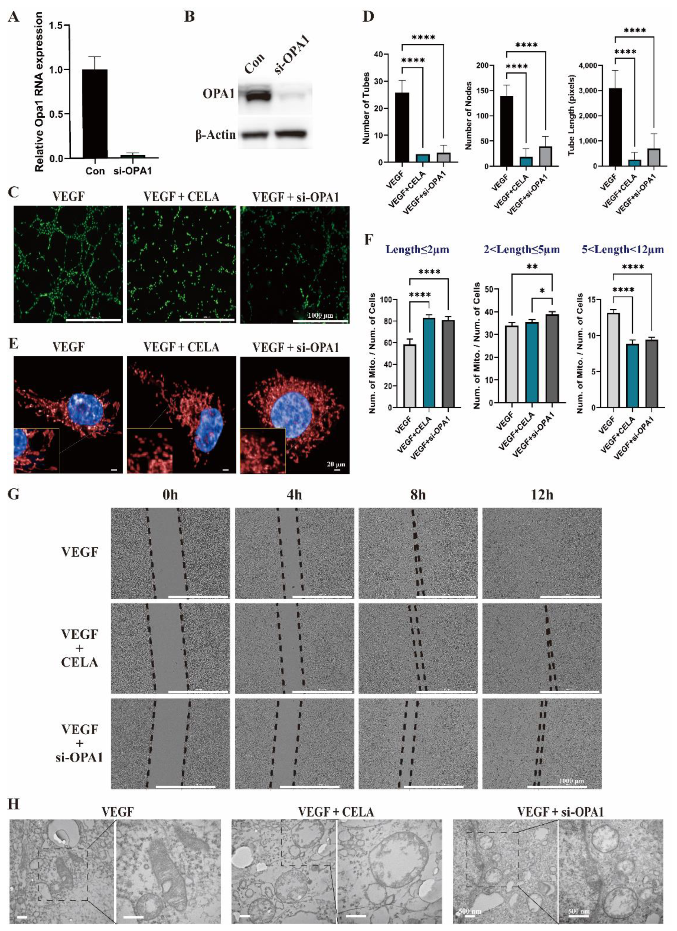 Pharmaceutics 15 00048 g004 Pharmaceutics 15 00048 g004