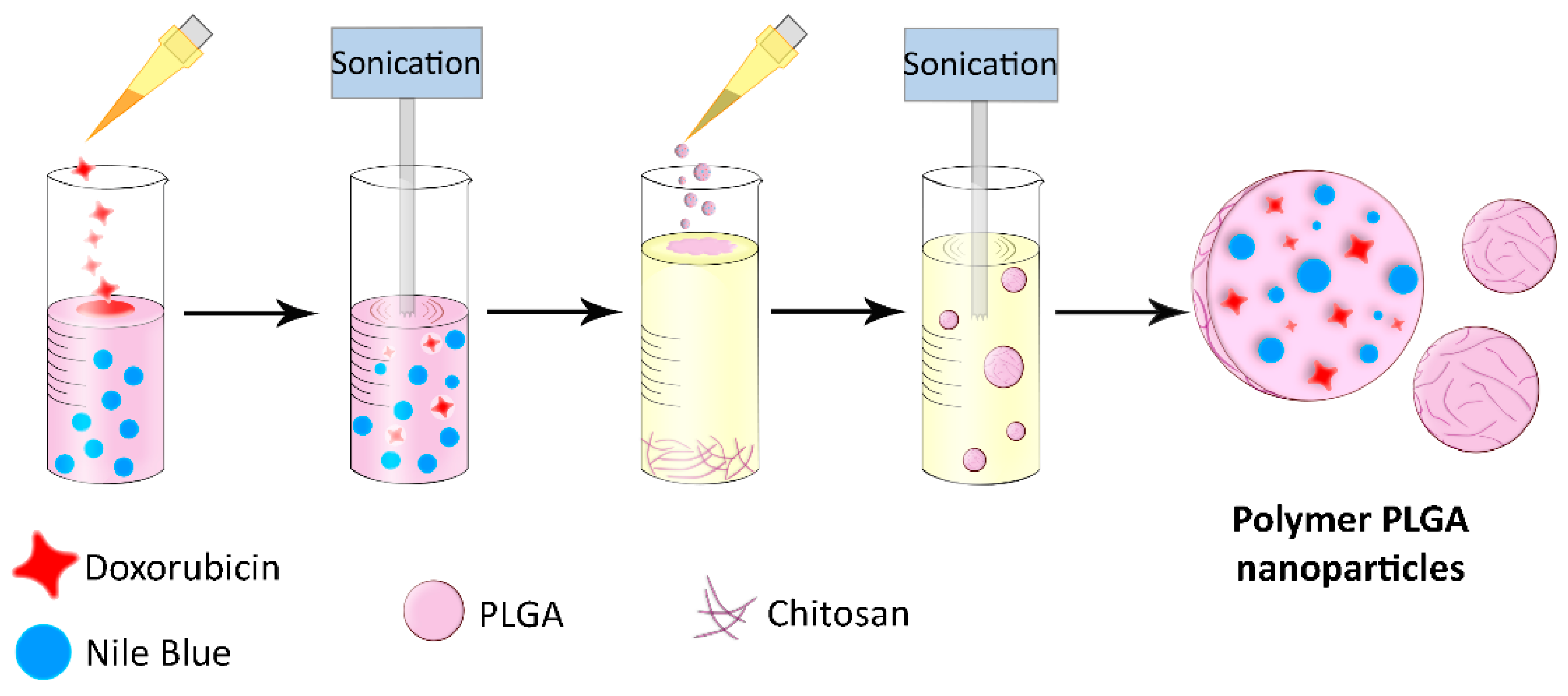 Pharmaceutics 15 00052 g002