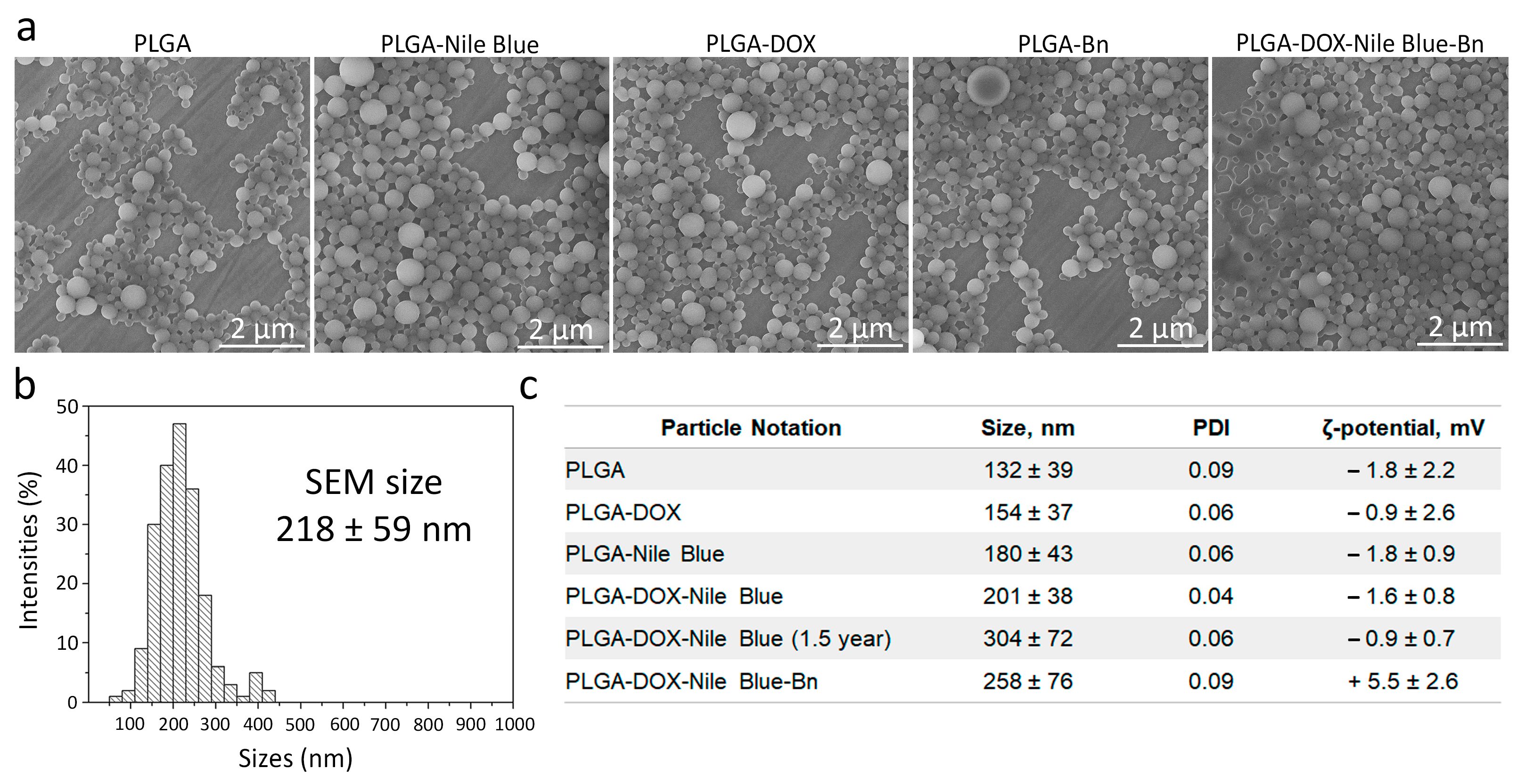 Pharmaceutics 15 00052 g003