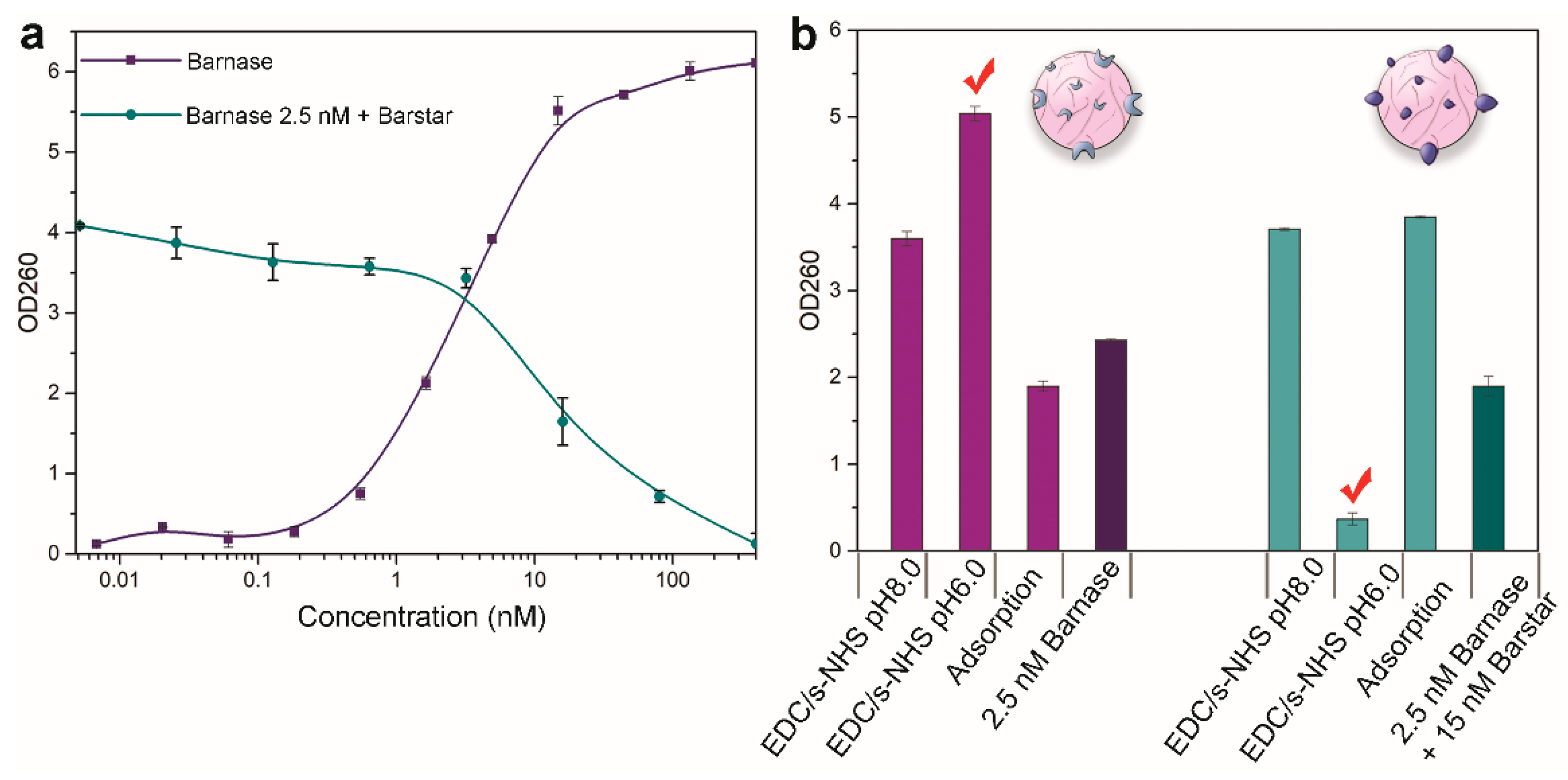 Pharmaceutics 15 00052 g007