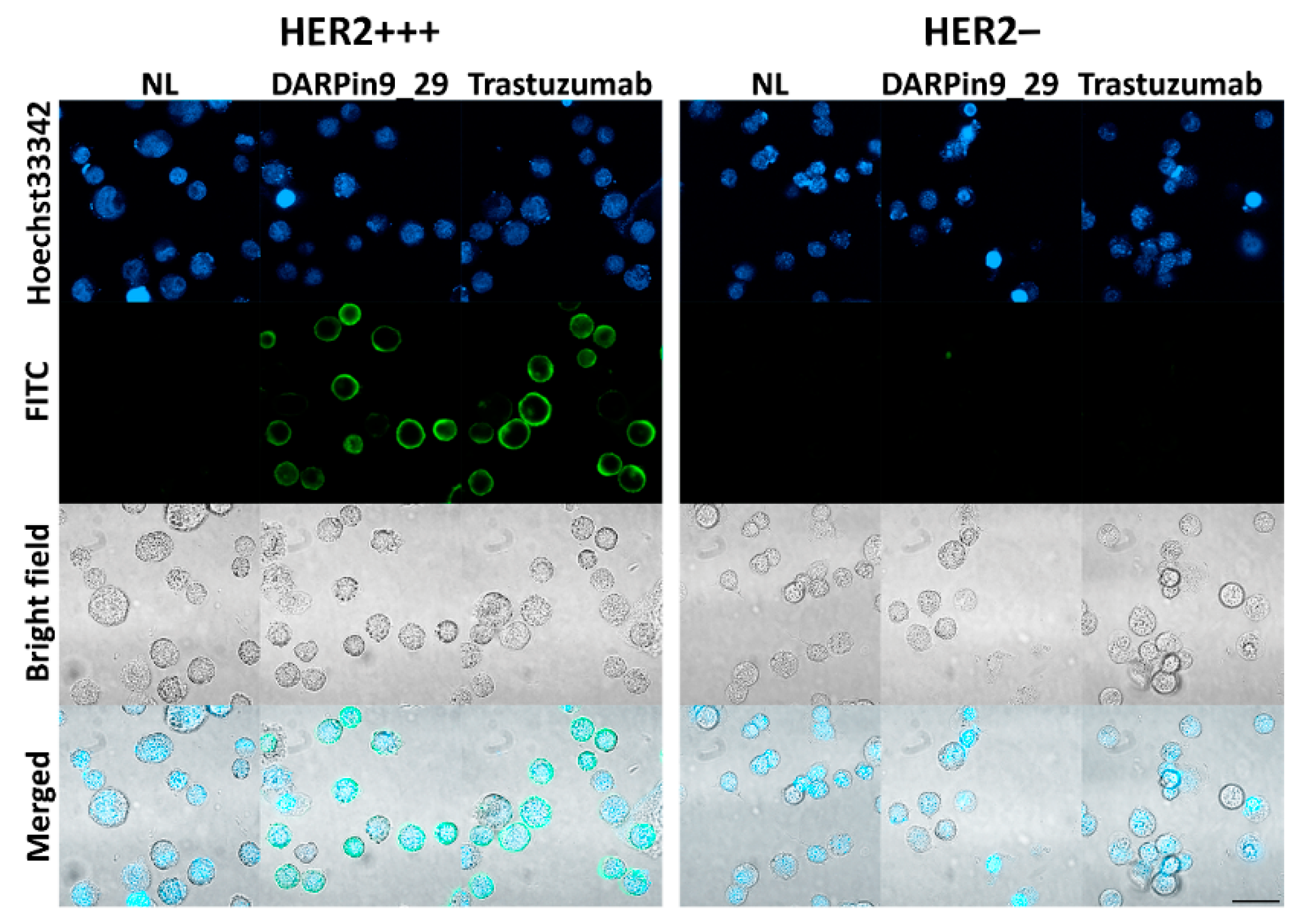 Pharmaceutics 15 00052 g008