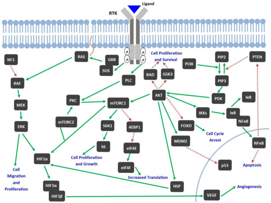 Tyrosine Kinase Inhibitors for Glioblastoma Multiforme: Challenges and ...