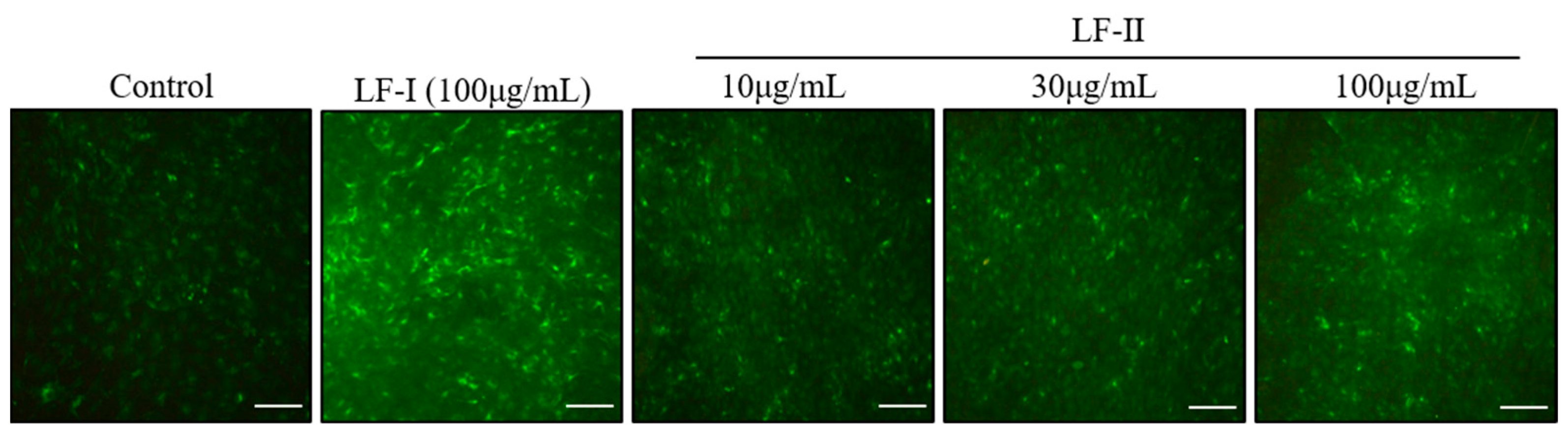 Pharmaceutics 15 00060 g005
