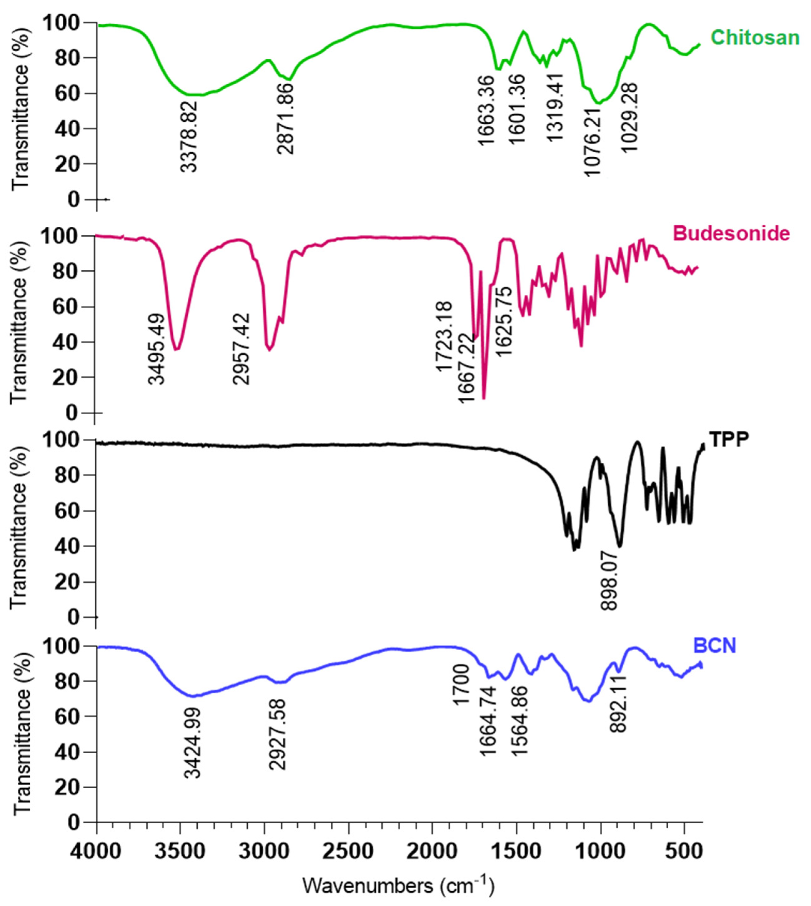 Pharmaceutics 15 00069 g003