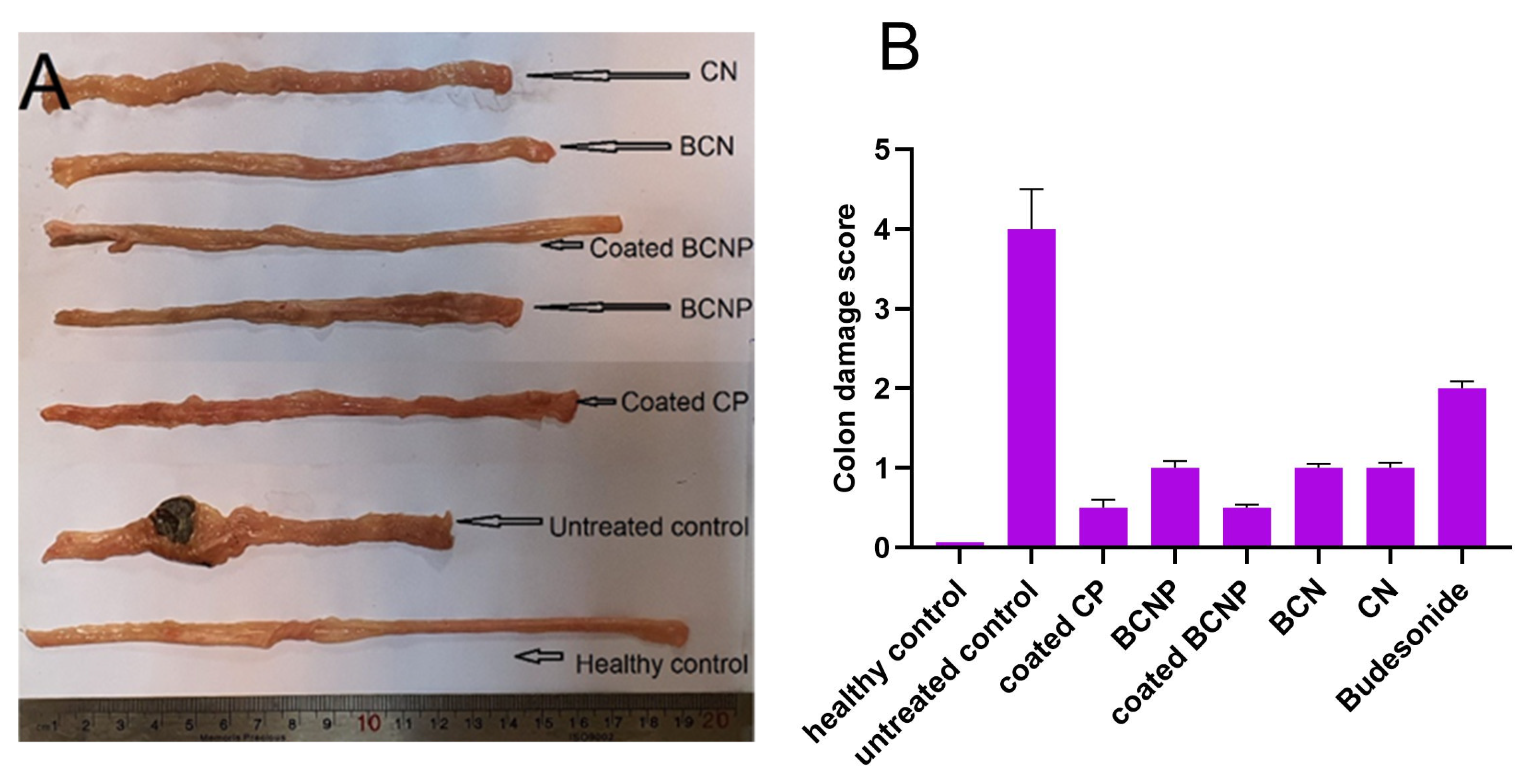 Pharmaceutics Free FullText Preparation and Characterization of a