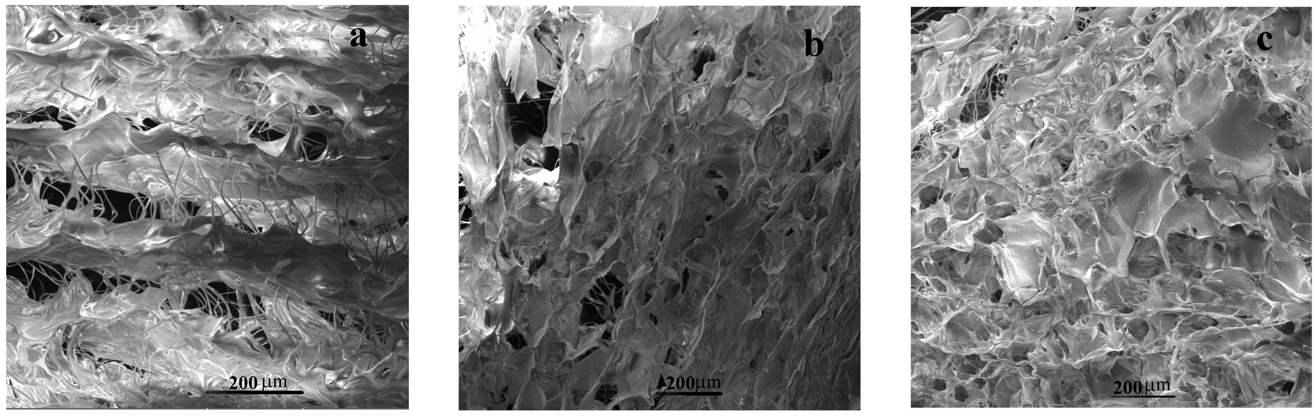 Pharmaceutics 15 00076 g003 Pharmaceutics 15 00076 g003