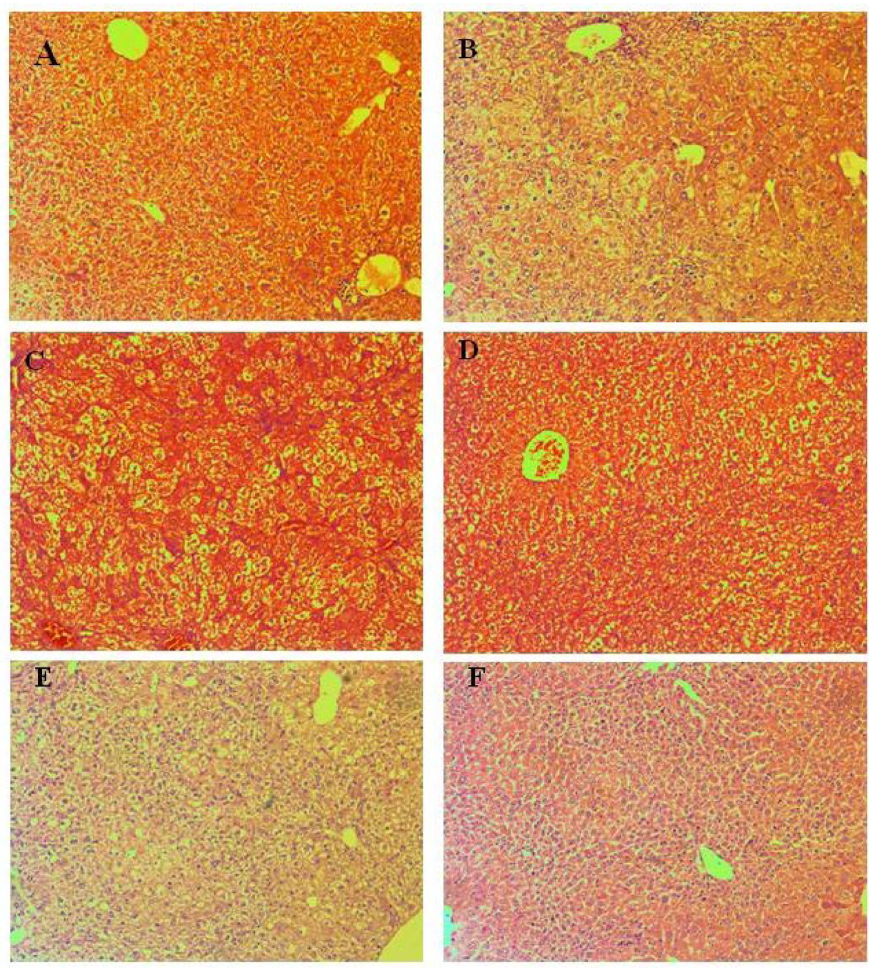 Pharmaceutics 15 00079 g004 Pharmaceutics 15 00079 g004