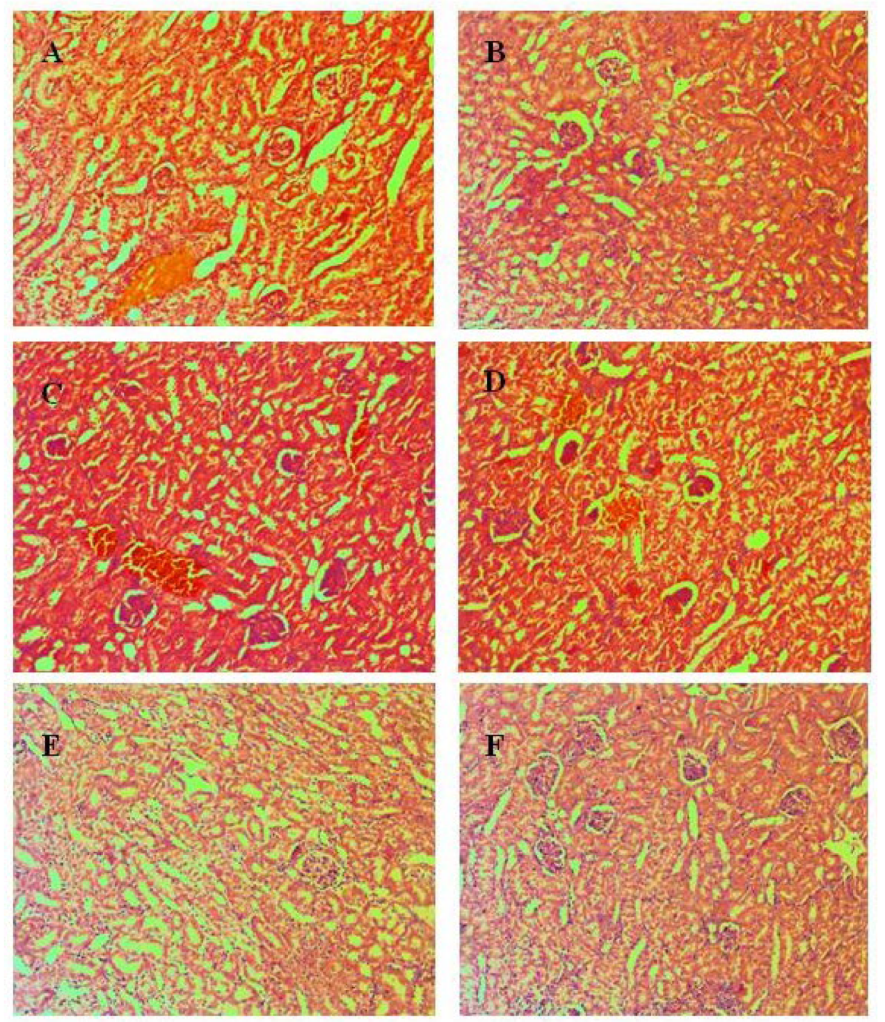 Pharmaceutics 15 00079 g005 Pharmaceutics 15 00079 g005