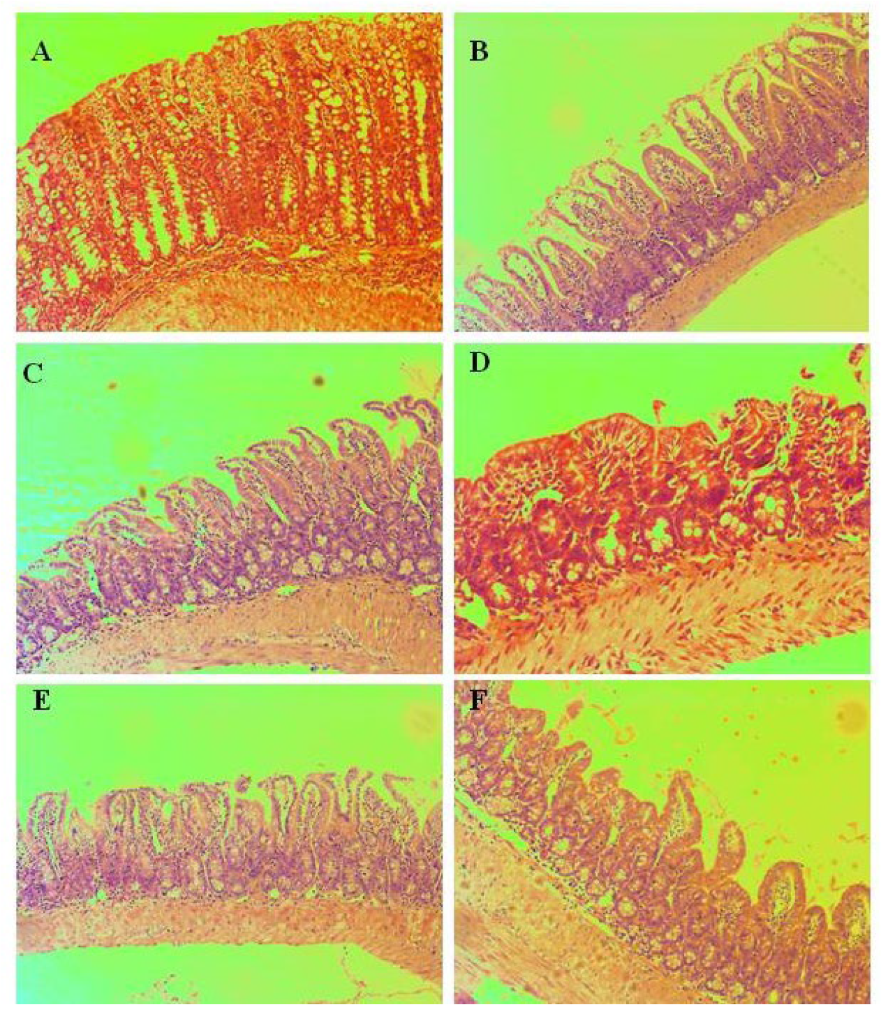 Pharmaceutics 15 00079 g006 Pharmaceutics 15 00079 g006