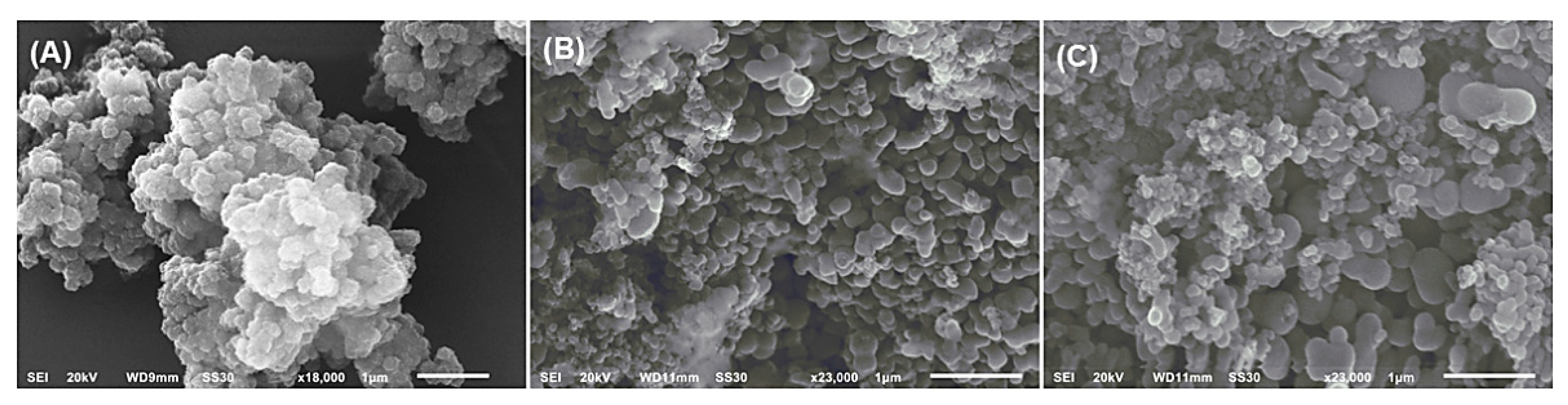 Pharmaceutics 15 00081 g002