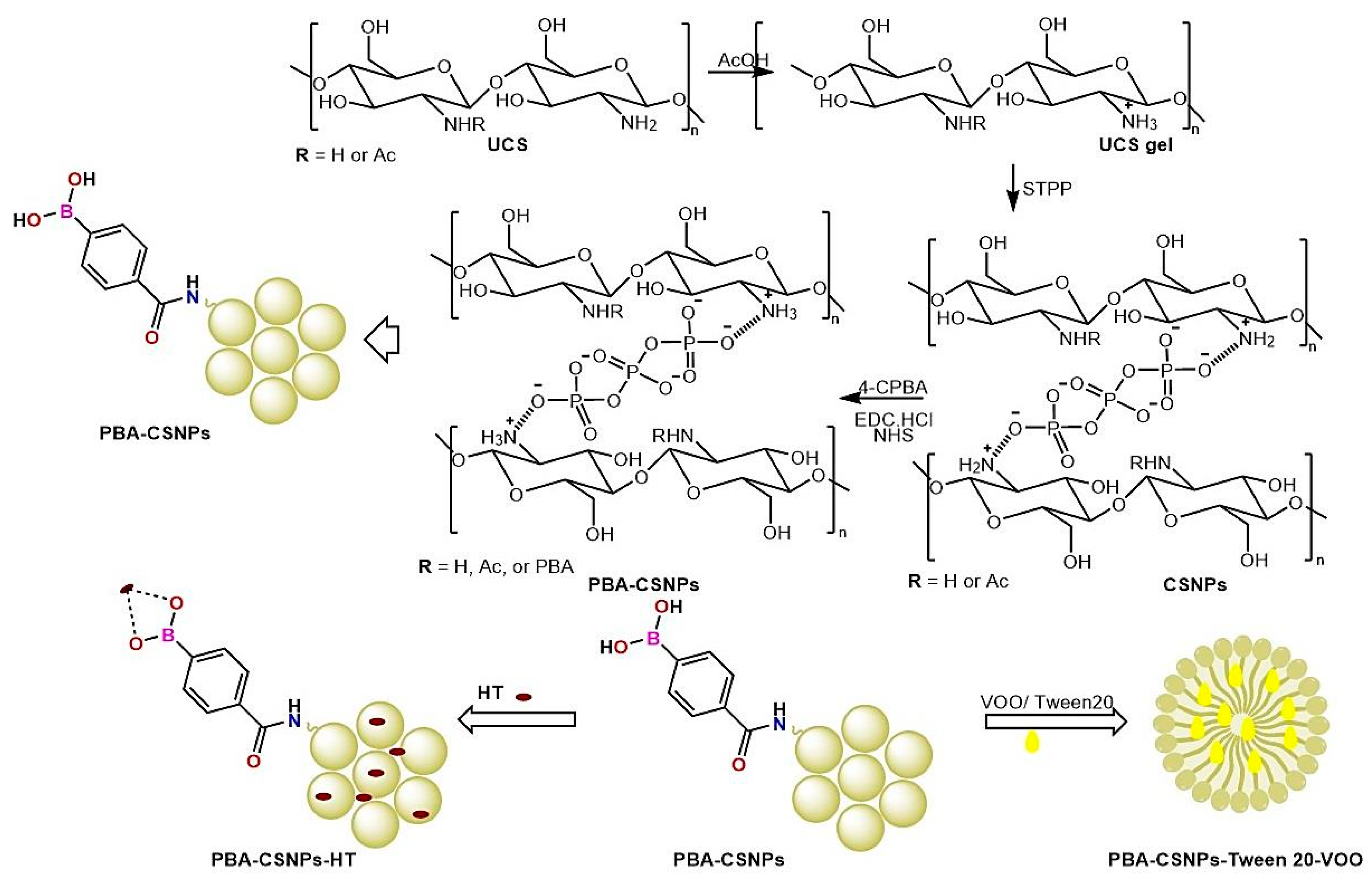 Pharmaceutics 15 00081 sch001