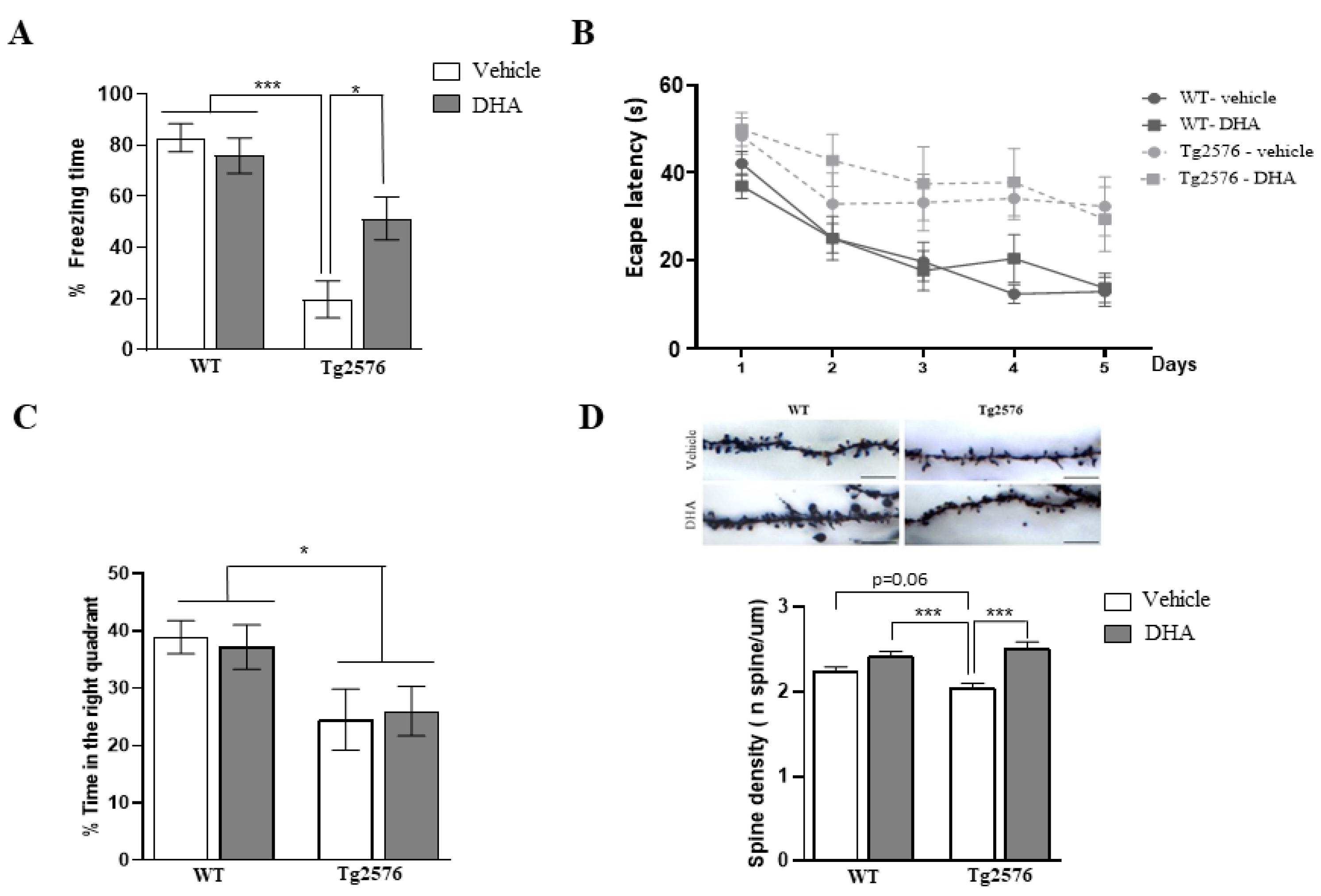 Pharmaceutics 15 00082 g001