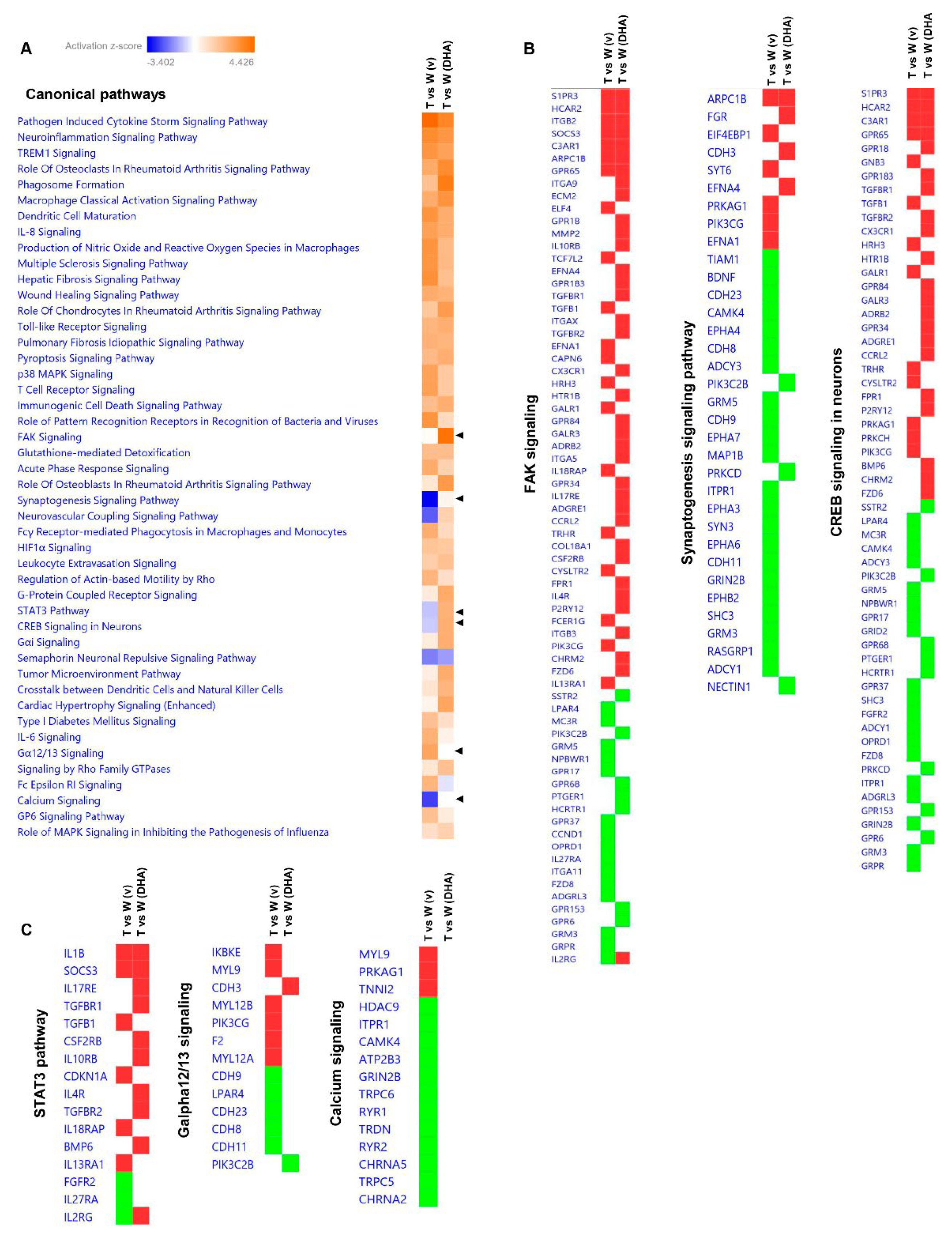 Pharmaceutics 15 00082 g004