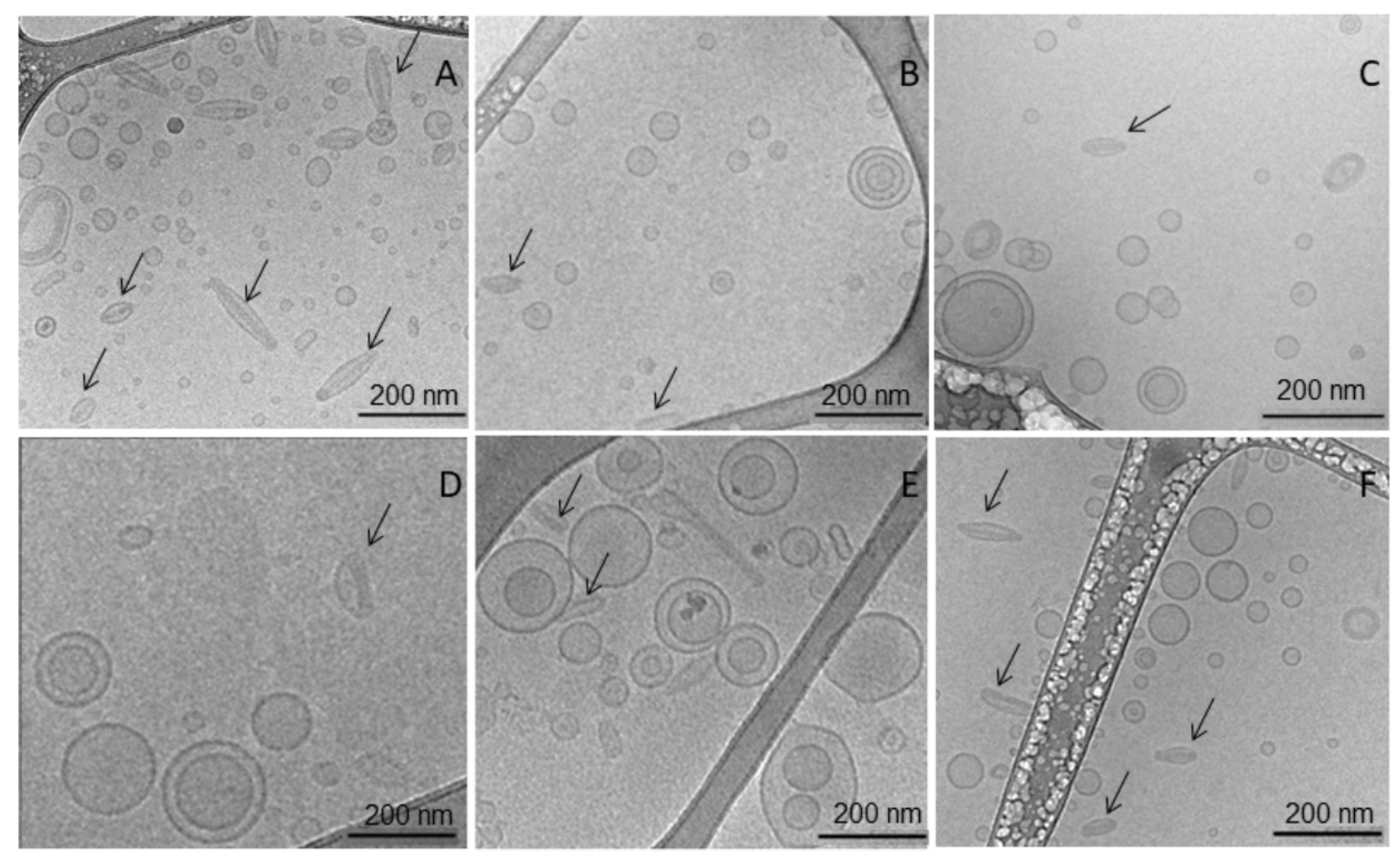 Pharmaceutics 15 00086 g003 Pharmaceutics 15 00086 g003