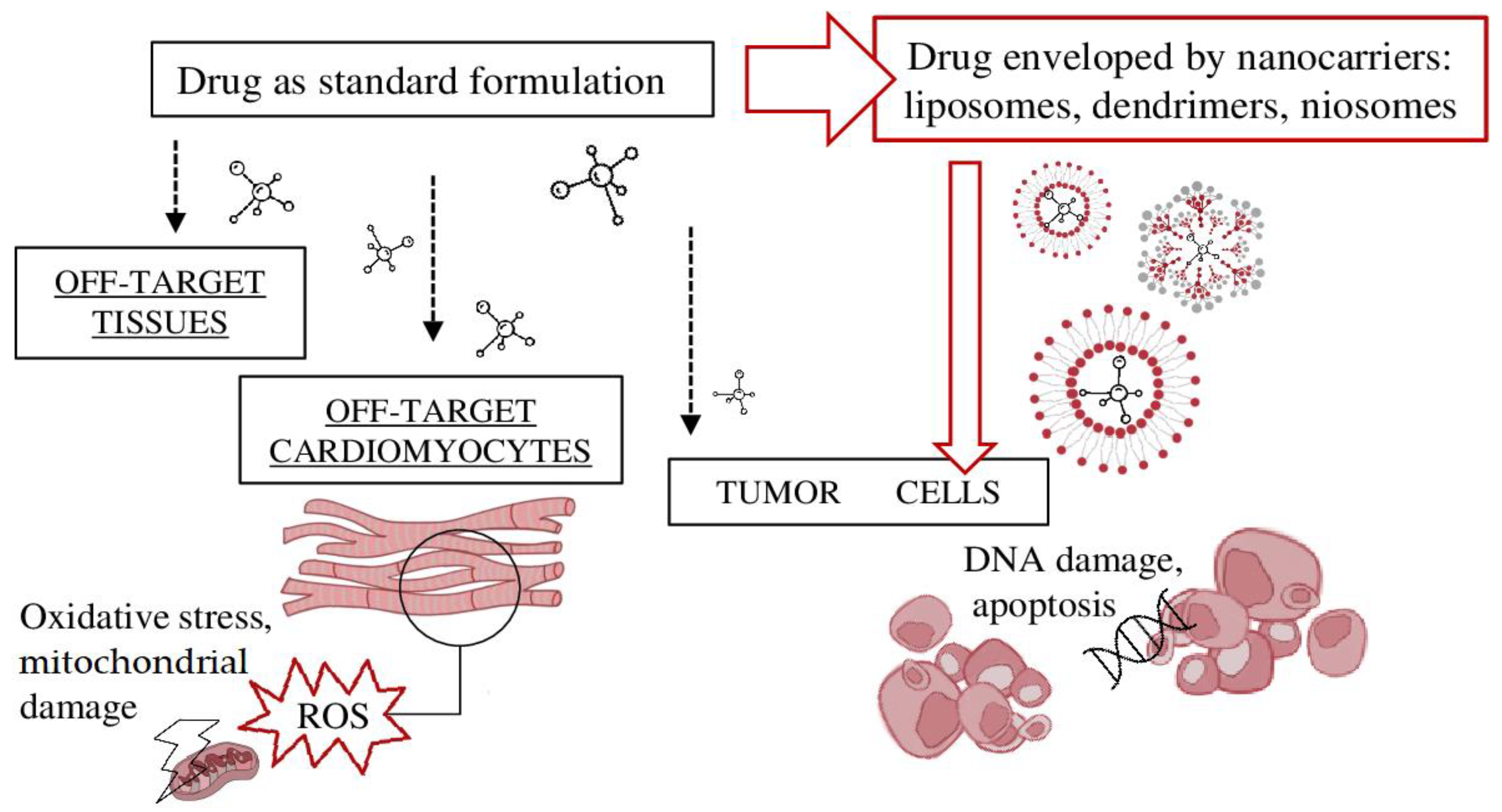 Pharmaceutics 15 00087 g001 Pharmaceutics 15 00087 g001