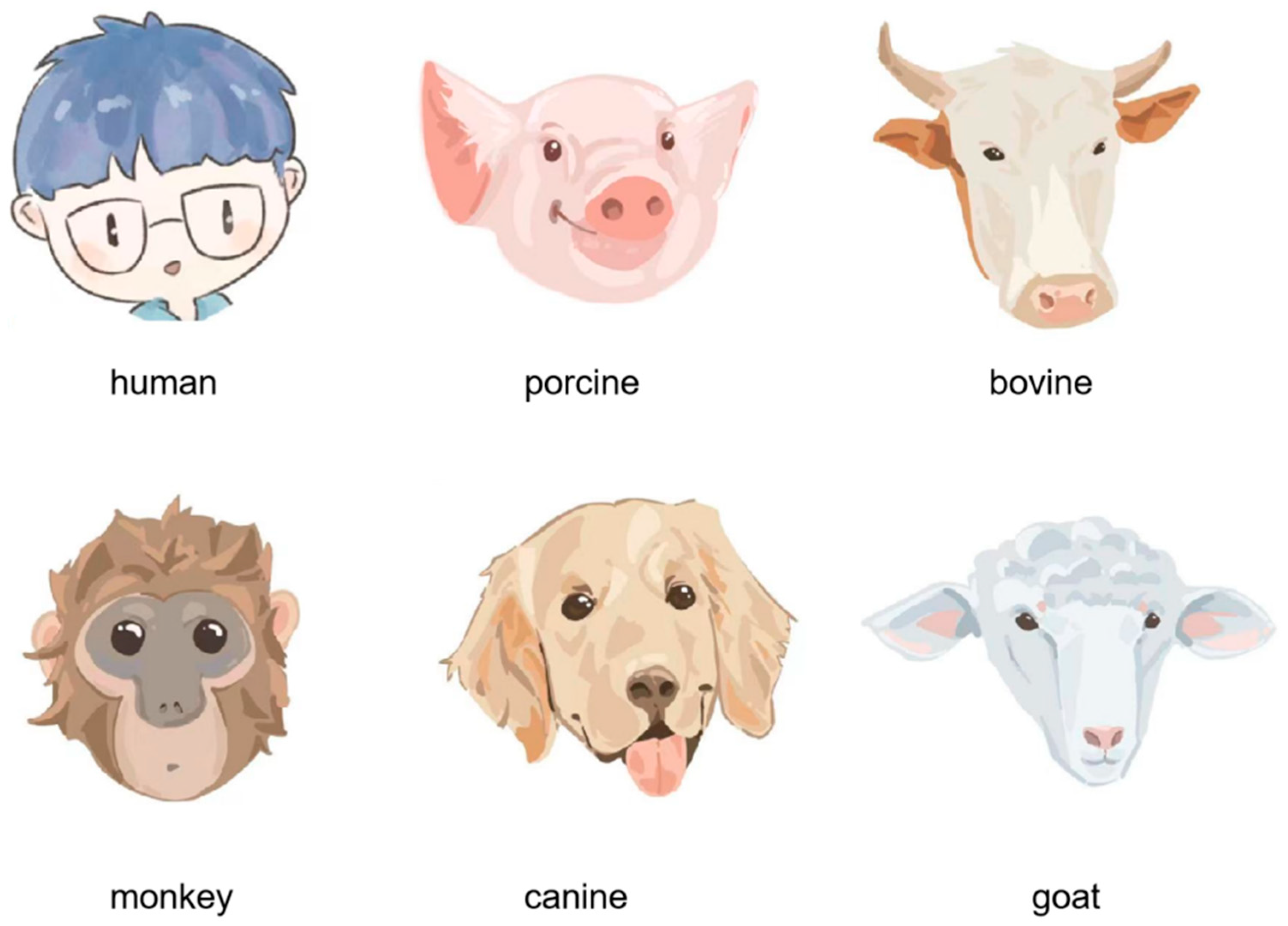 Pharmaceutics 15 00091 g002 Pharmaceutics 15 00091 g002