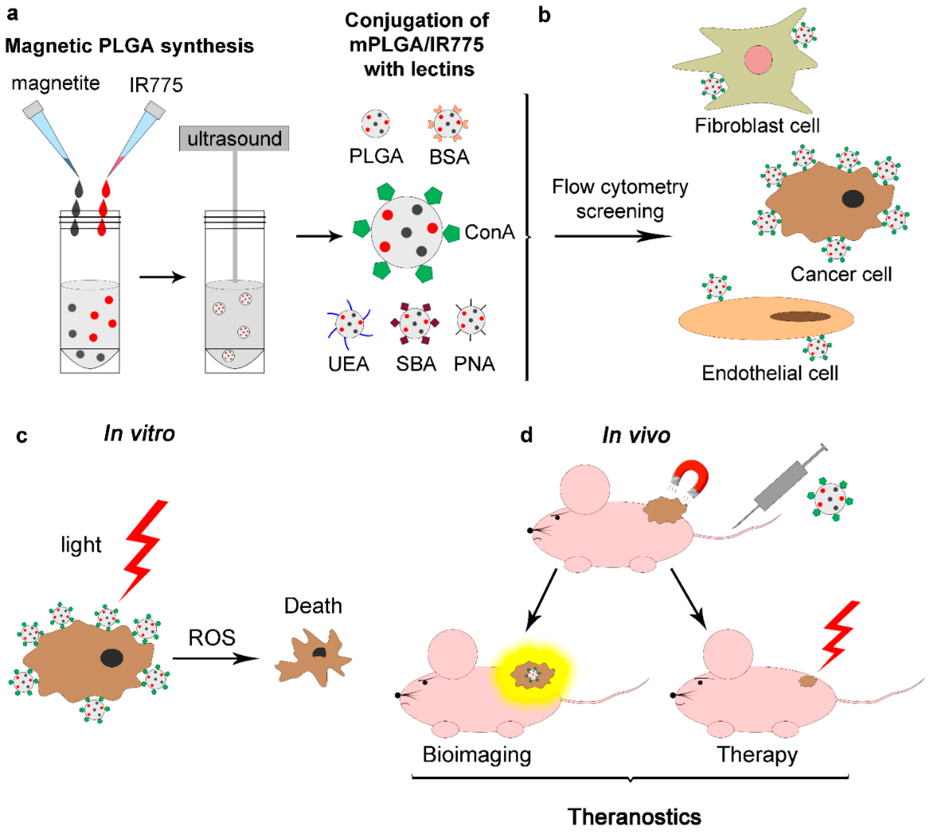 Pharmaceutics 15 00092 g001
